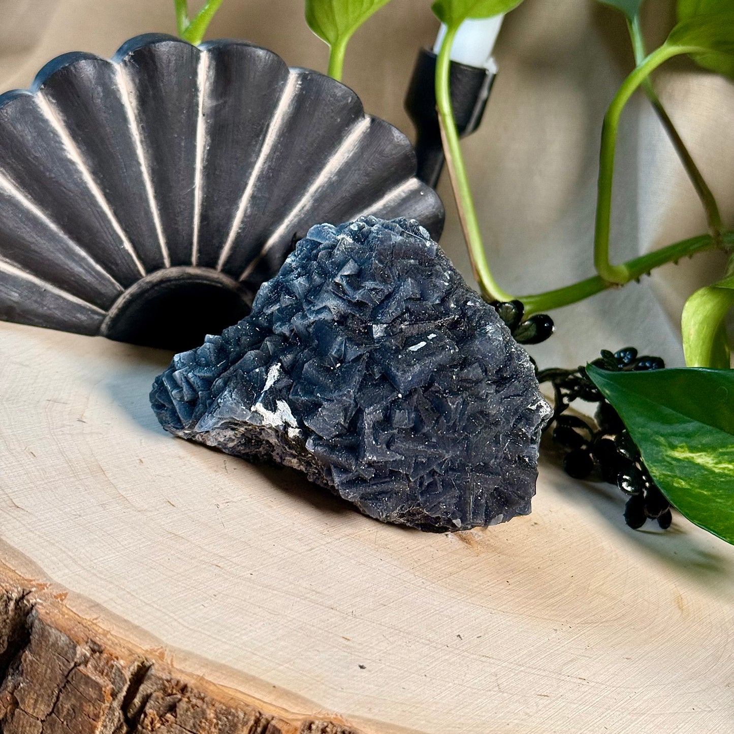 Black Rose Fluorite Specimens