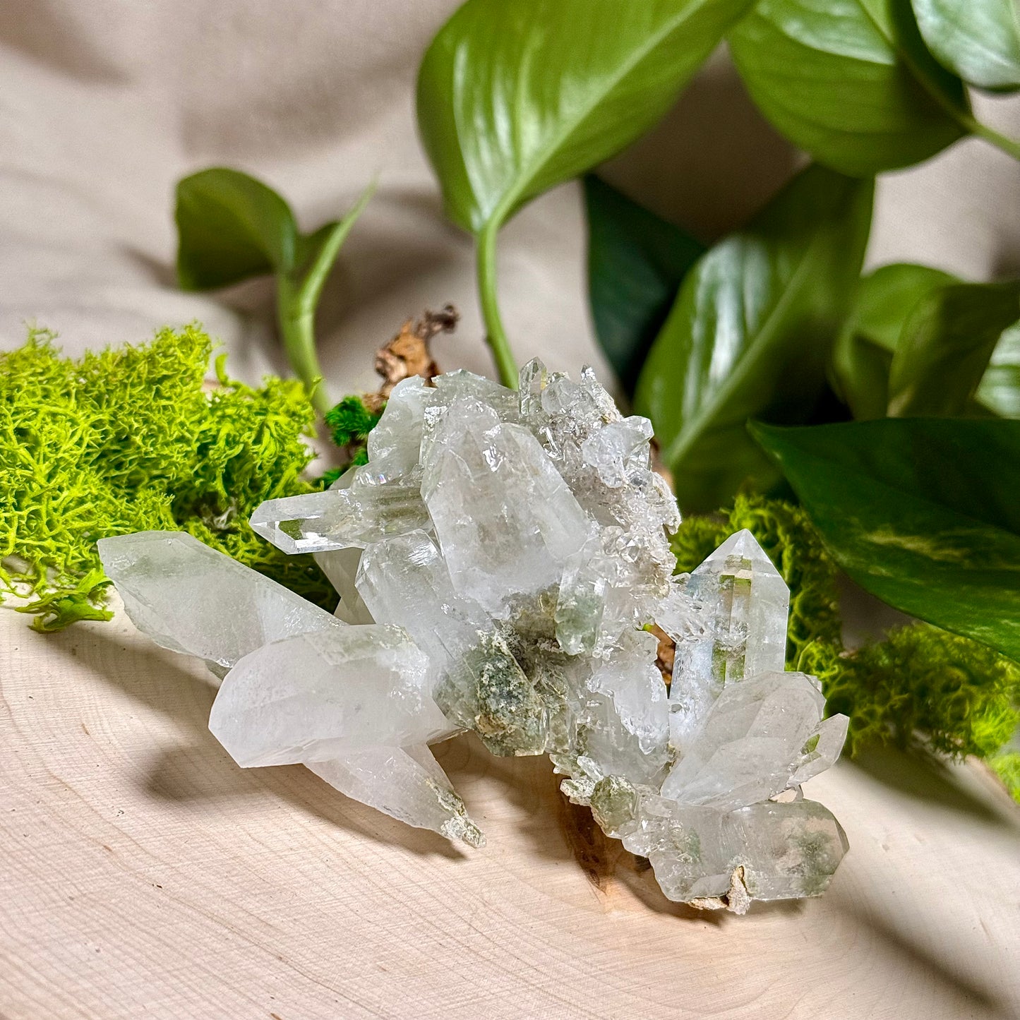 Green Phantom Chlorite Himalayan Quartz Clusters - Pakistan