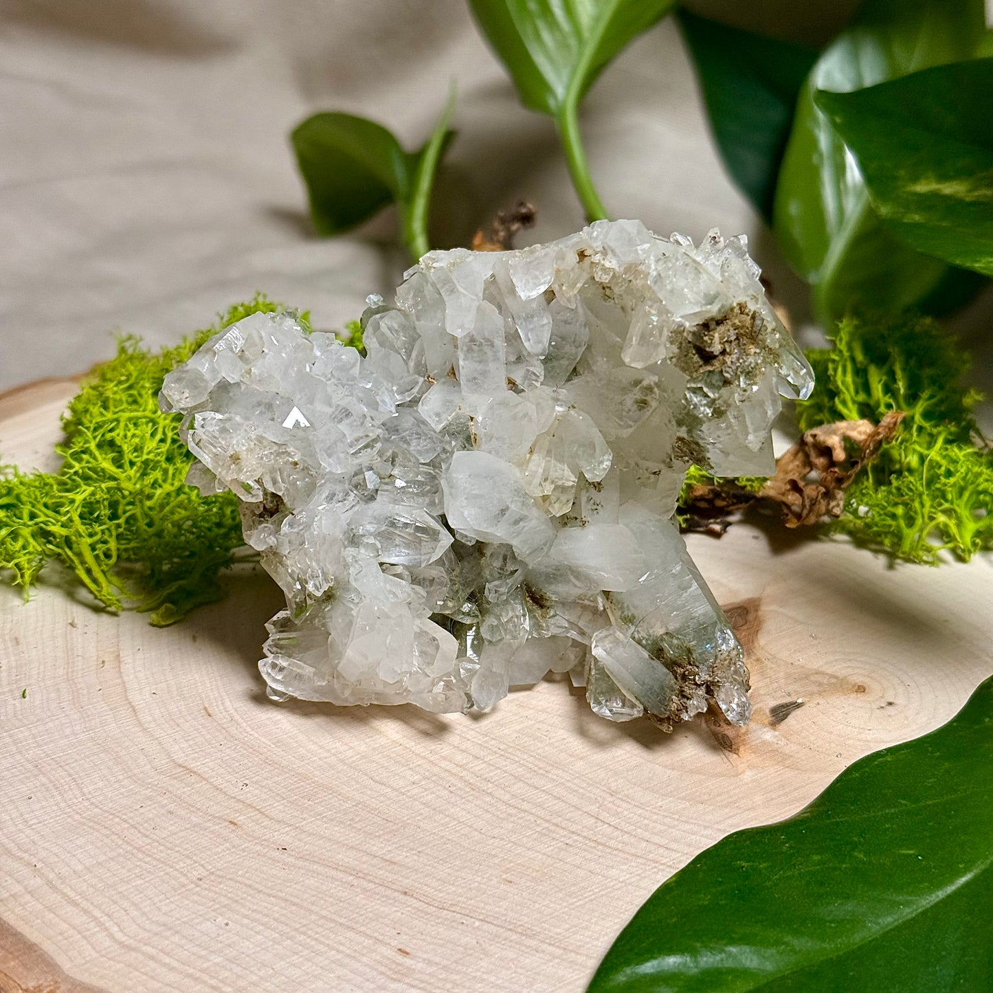 Green Phantom Chlorite Himalayan Quartz Clusters - Pakistan