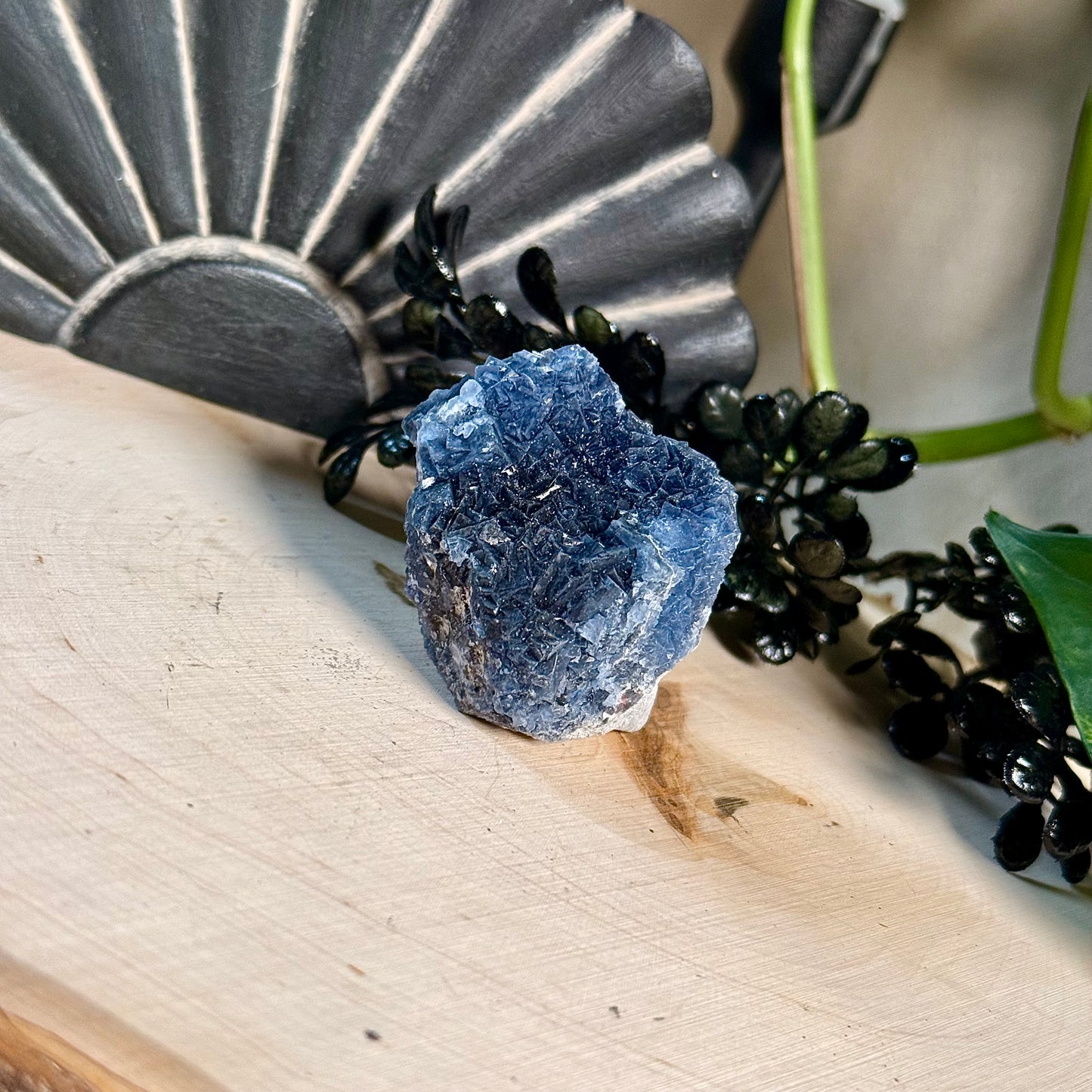 Black Rose Fluorite Specimens