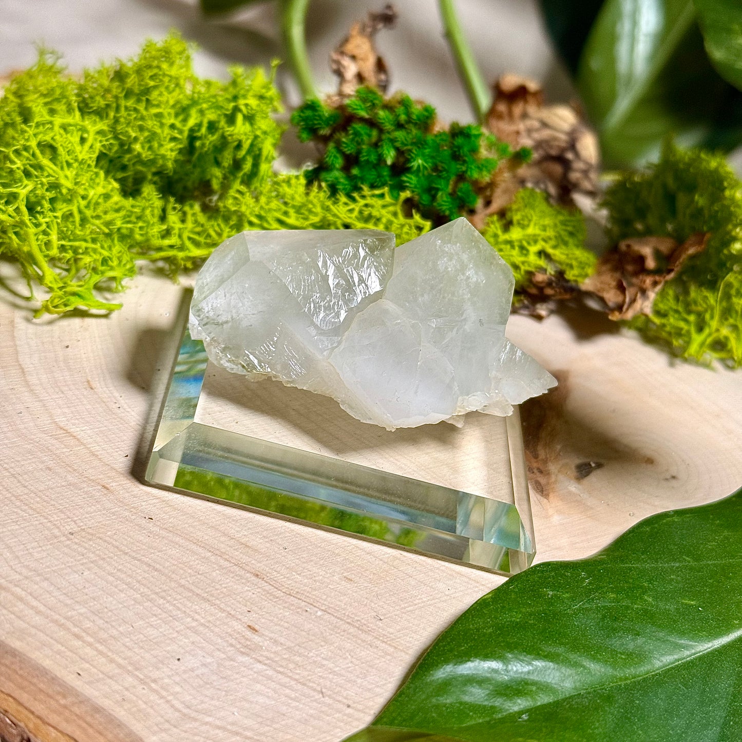 Green Phantom Chlorite Himalayan Quartz Clusters - Pakistan