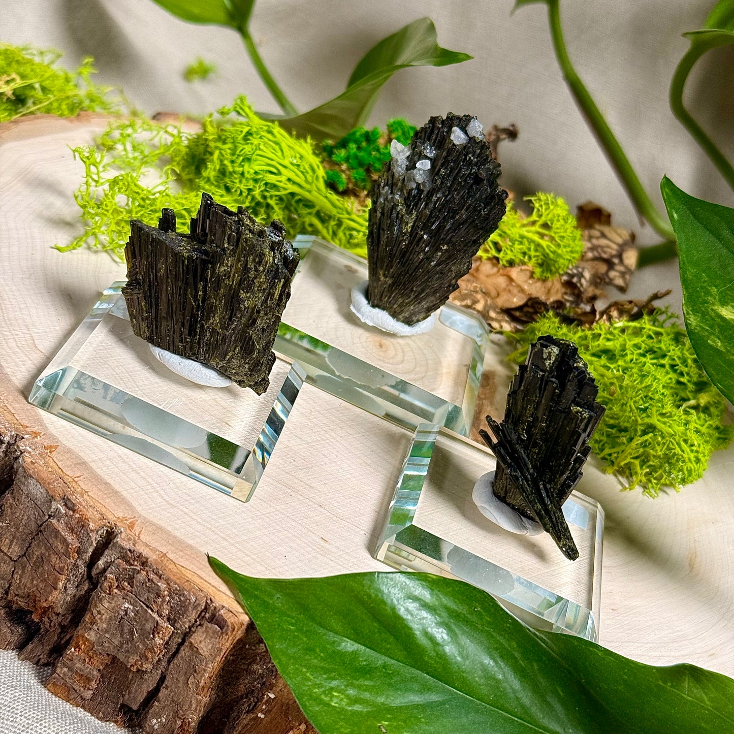 Epidote Specimens