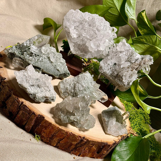 Green Phantom Chlorite Himalayan Quartz Clusters - Manihar Valley