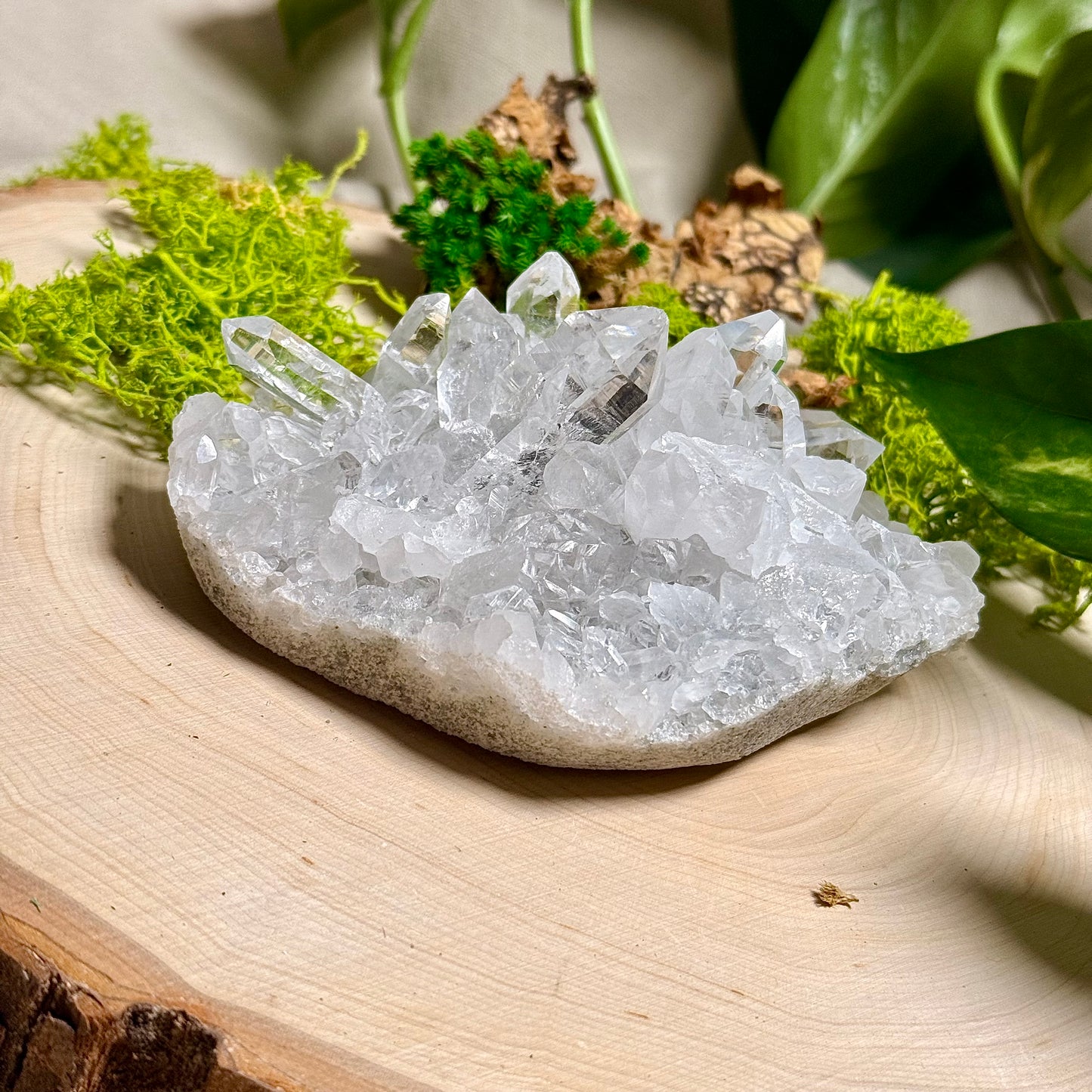 Green Phantom Chlorite Himalayan Quartz Clusters - Manihar Valley