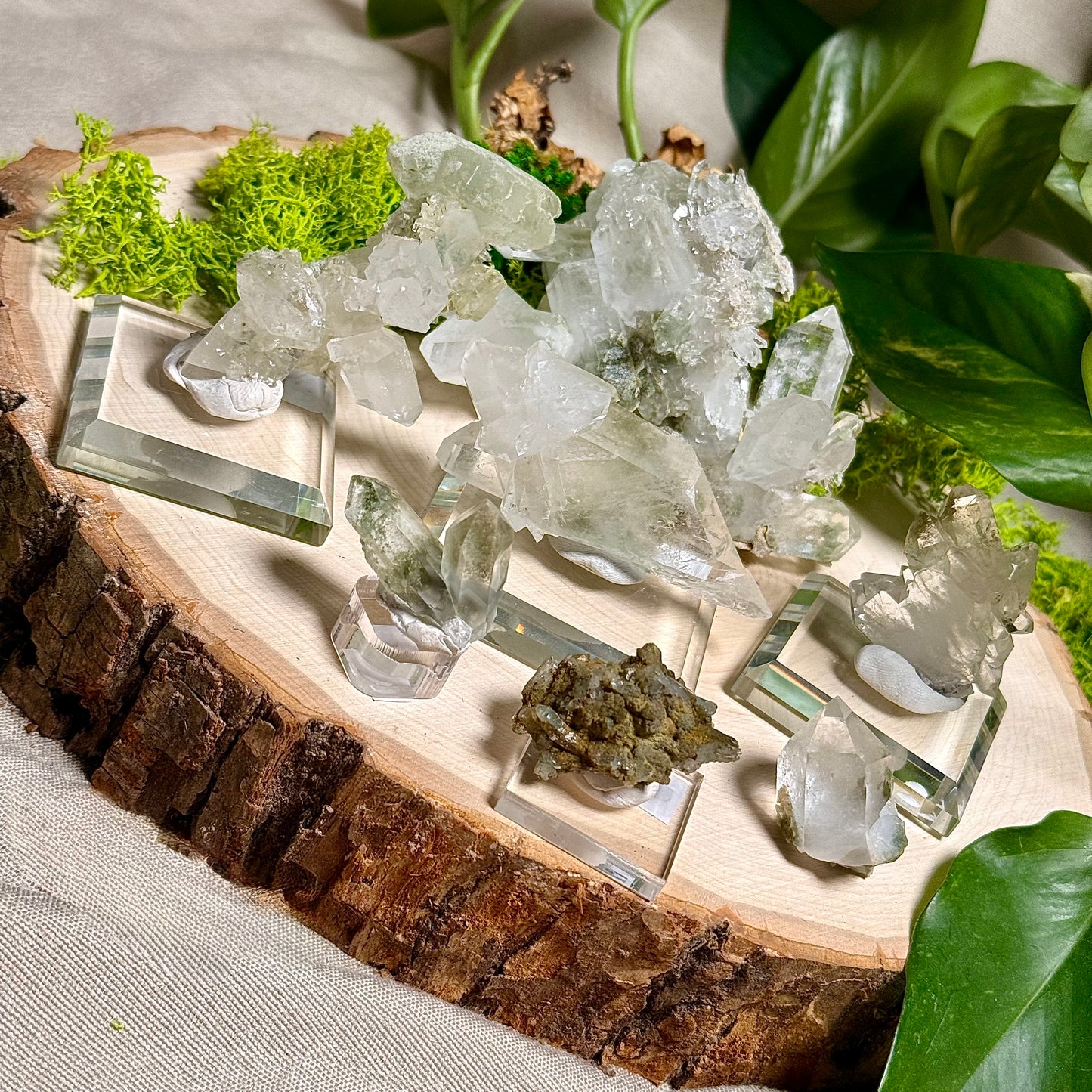 Green Phantom Chlorite Himalayan Quartz Clusters - Pakistan