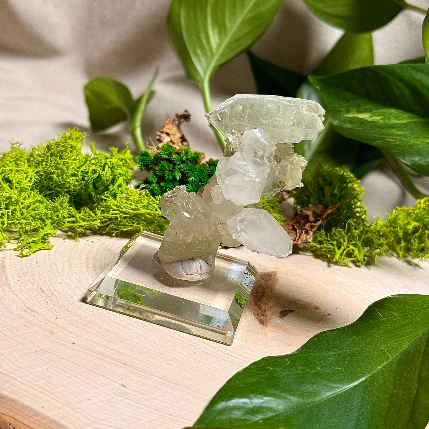 Green Phantom Chlorite Himalayan Quartz Clusters - Pakistan