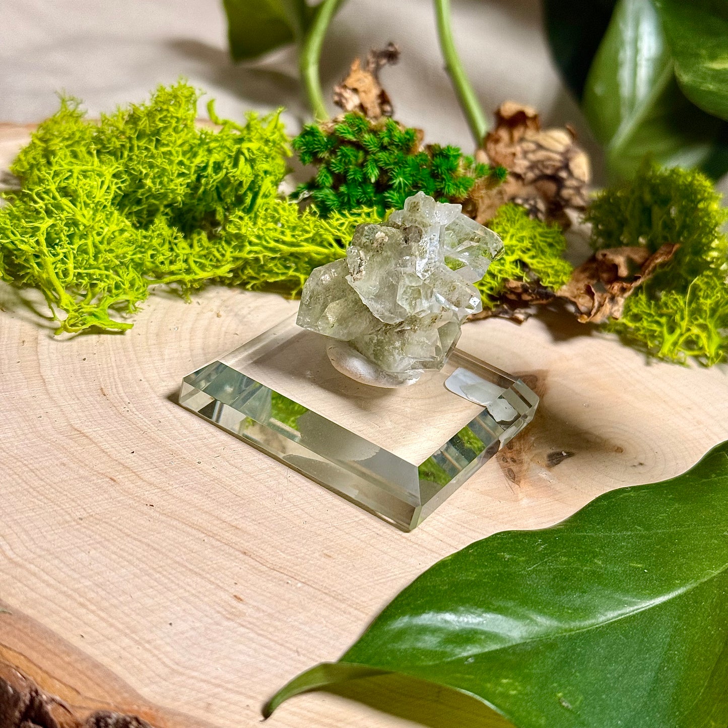 Green Phantom Chlorite Himalayan Quartz Clusters - Pakistan