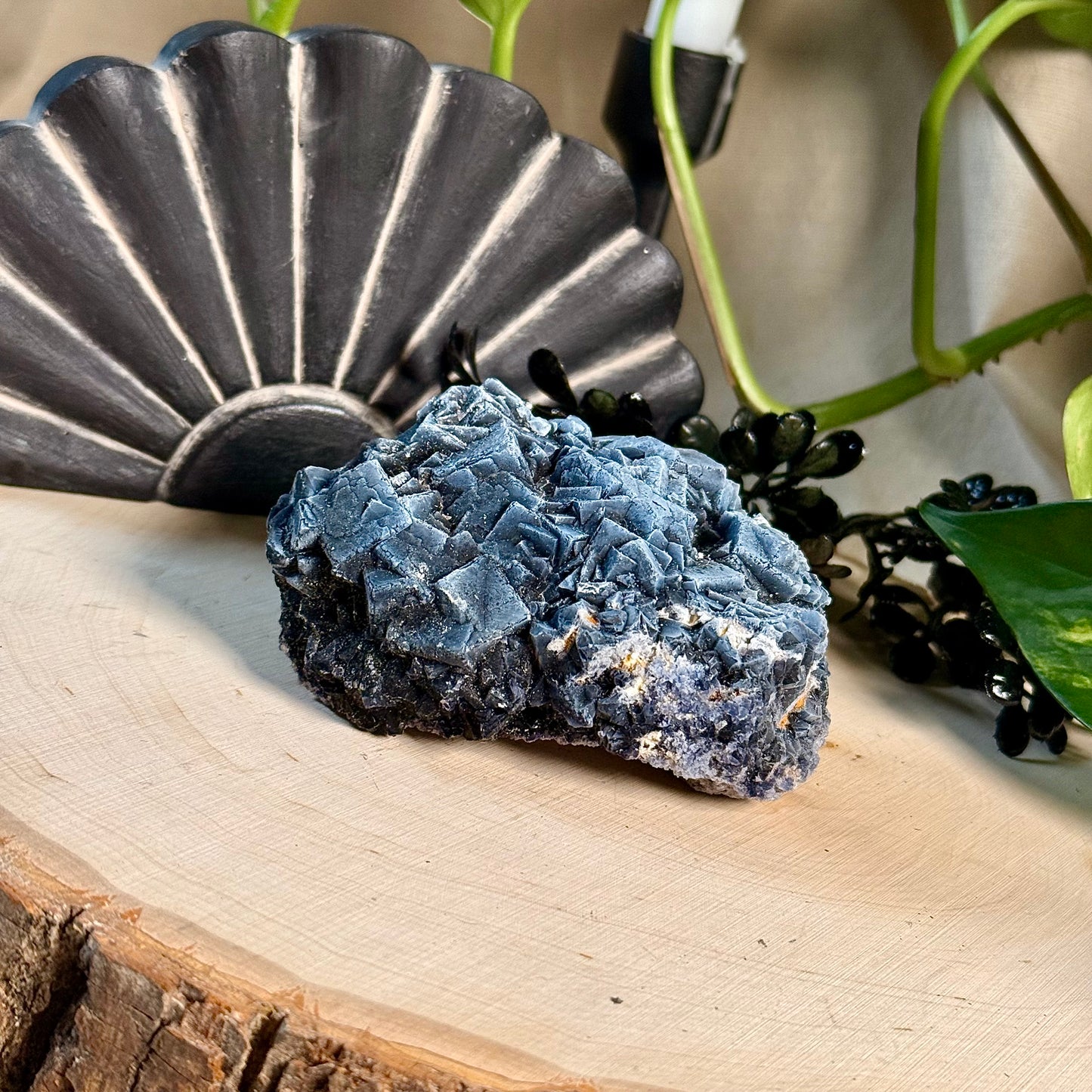 Black Rose Fluorite Specimens