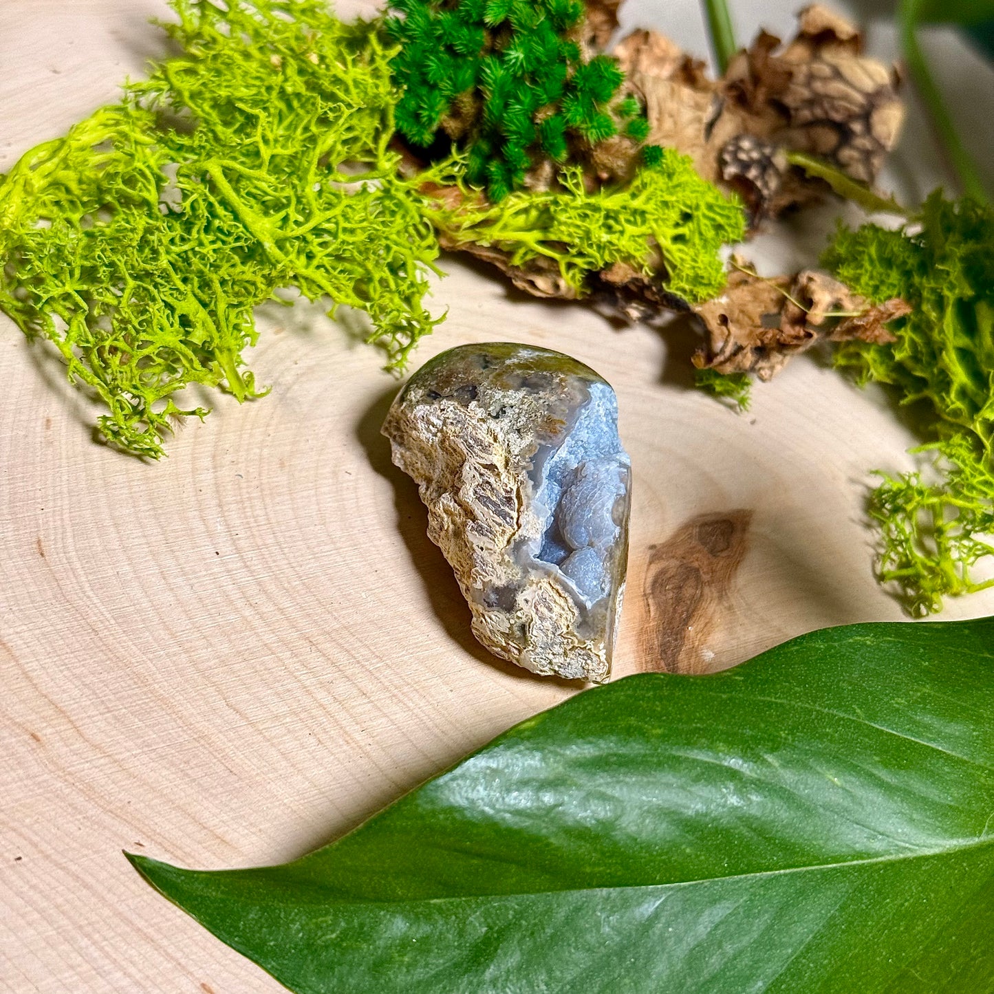 Chalcedony Agate - Verde Valley Specimen