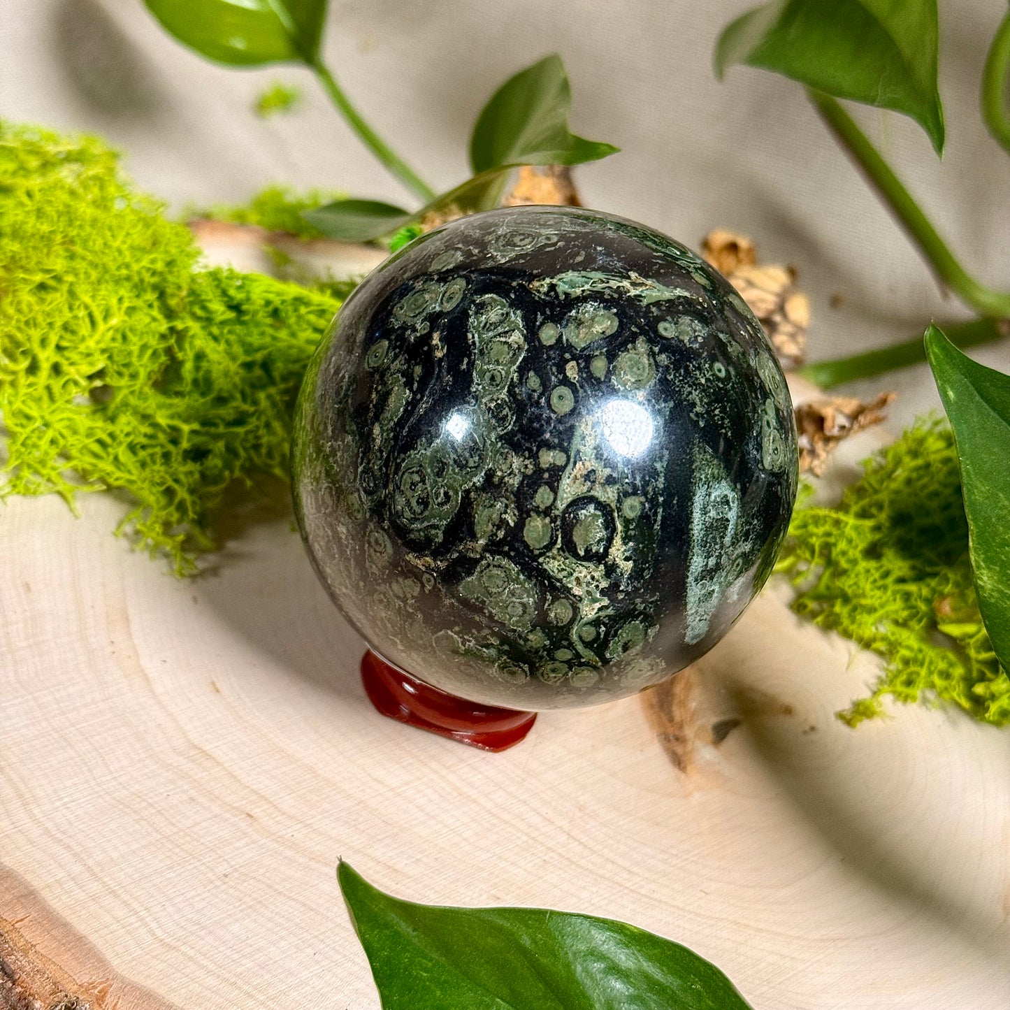 Kambamba Jasper Palm Stones and Spheres