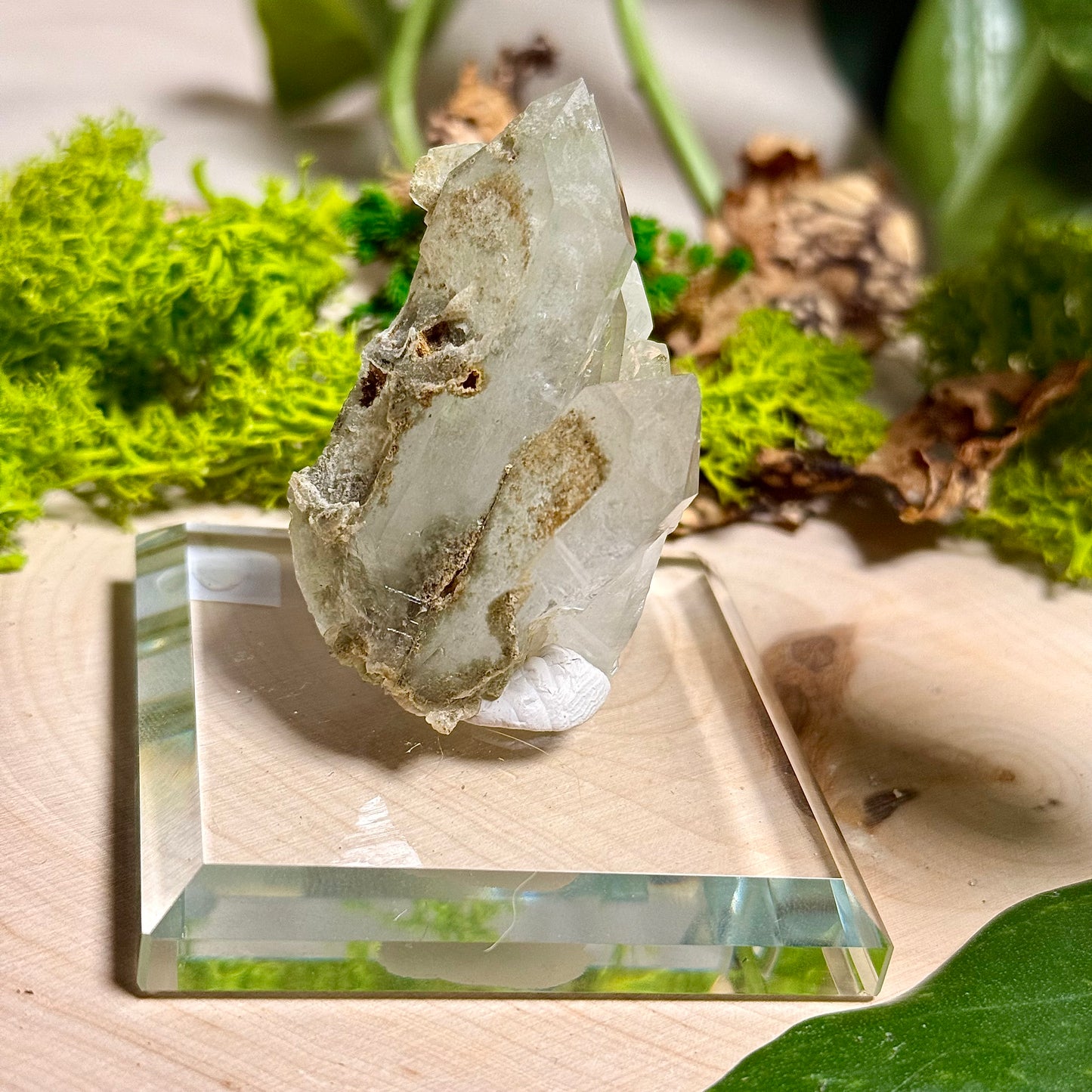 Green Phantom Chlorite Himalayan Quartz Clusters - Pakistan