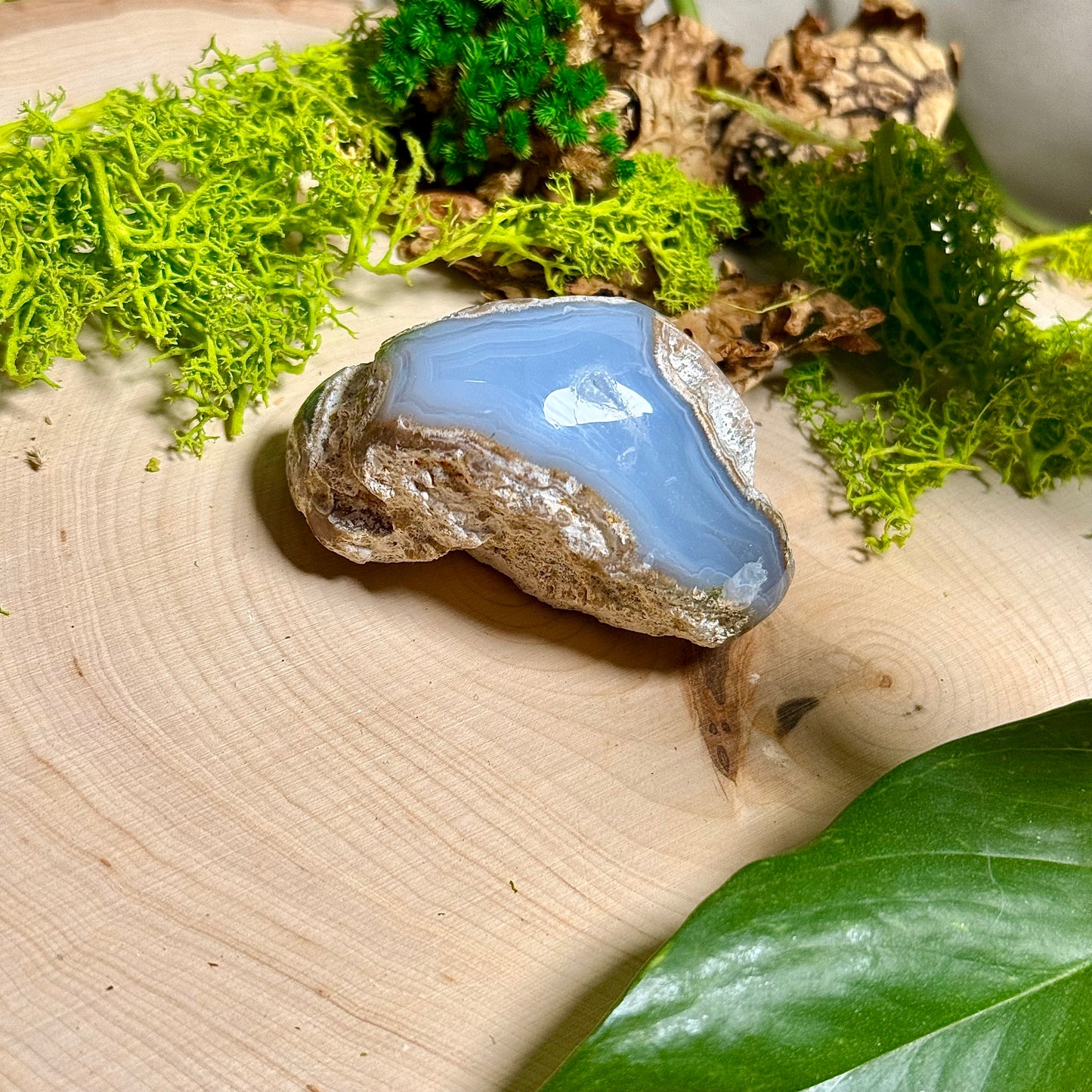 Chalcedony Agate - Verde Valley Specimen