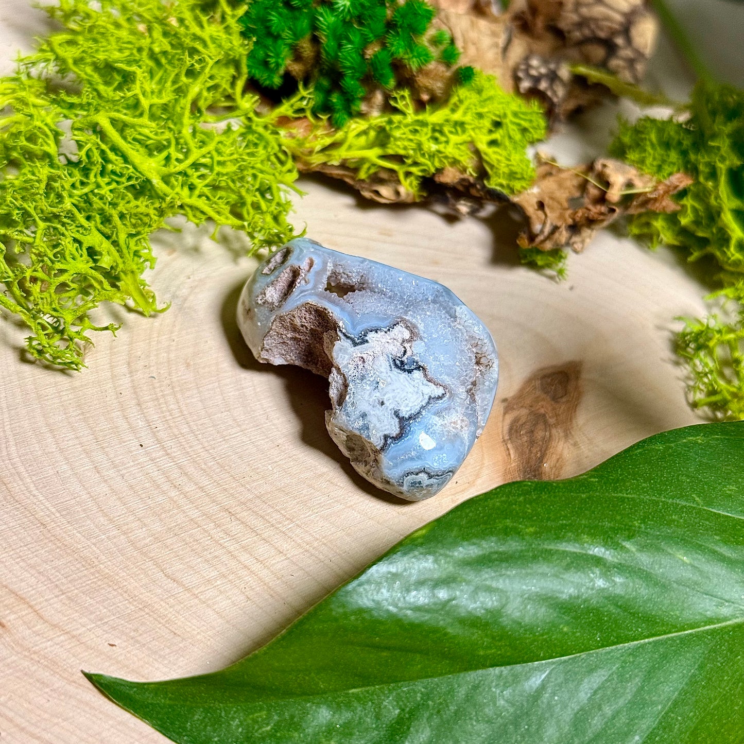 Chalcedony Agate - Verde Valley Specimen