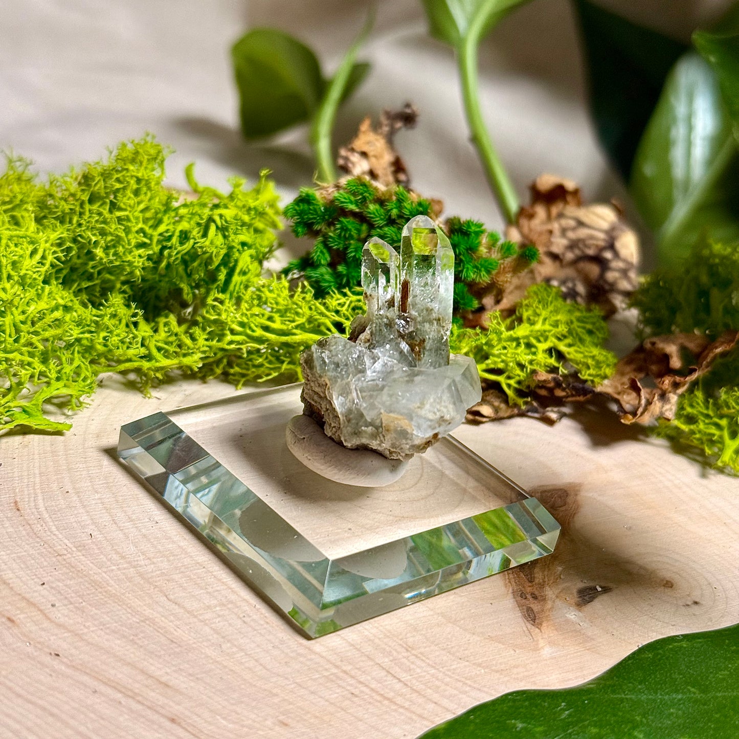 Green Phantom Chlorite Himalayan Quartz Clusters - Pakistan