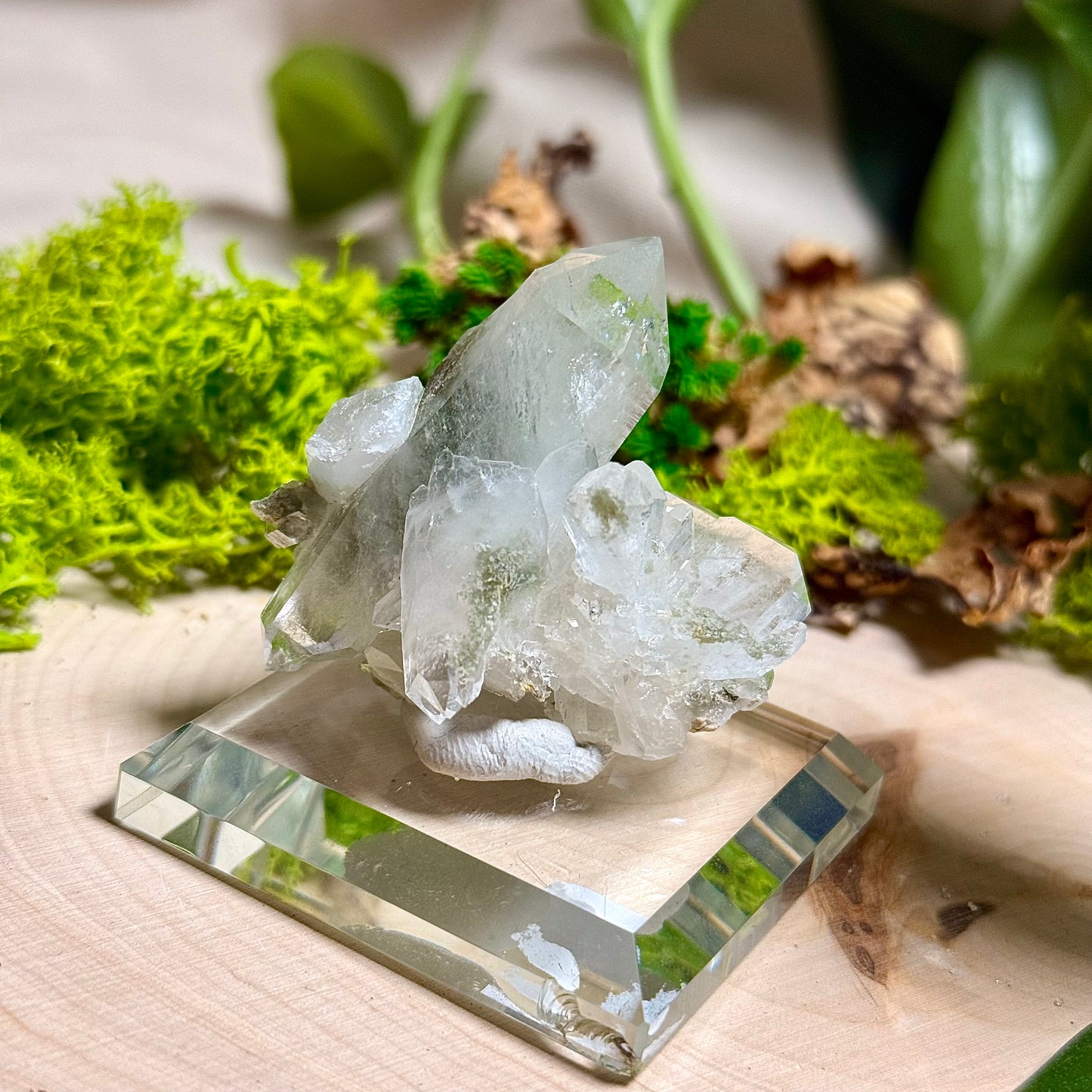 Green Phantom Chlorite Himalayan Quartz Clusters - Pakistan