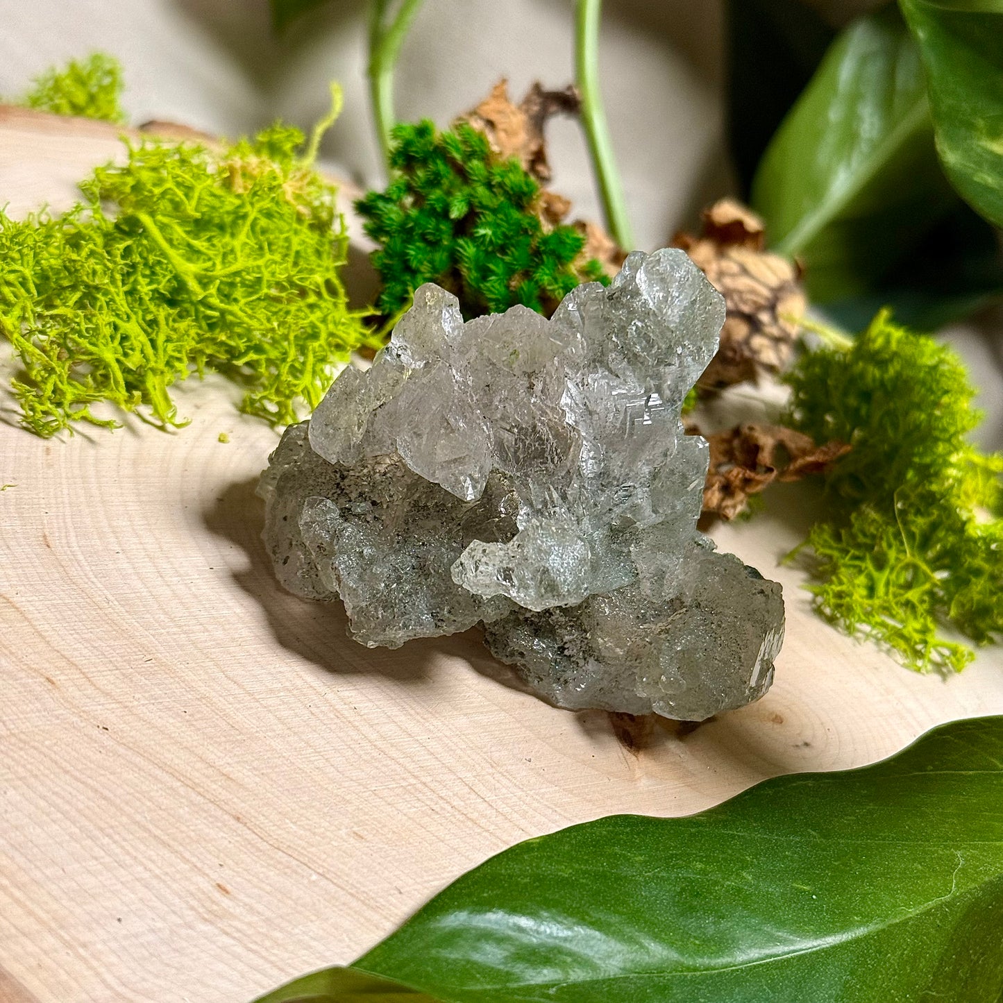 Green Phantom Chlorite Himalayan Quartz Clusters - Manihar Valley