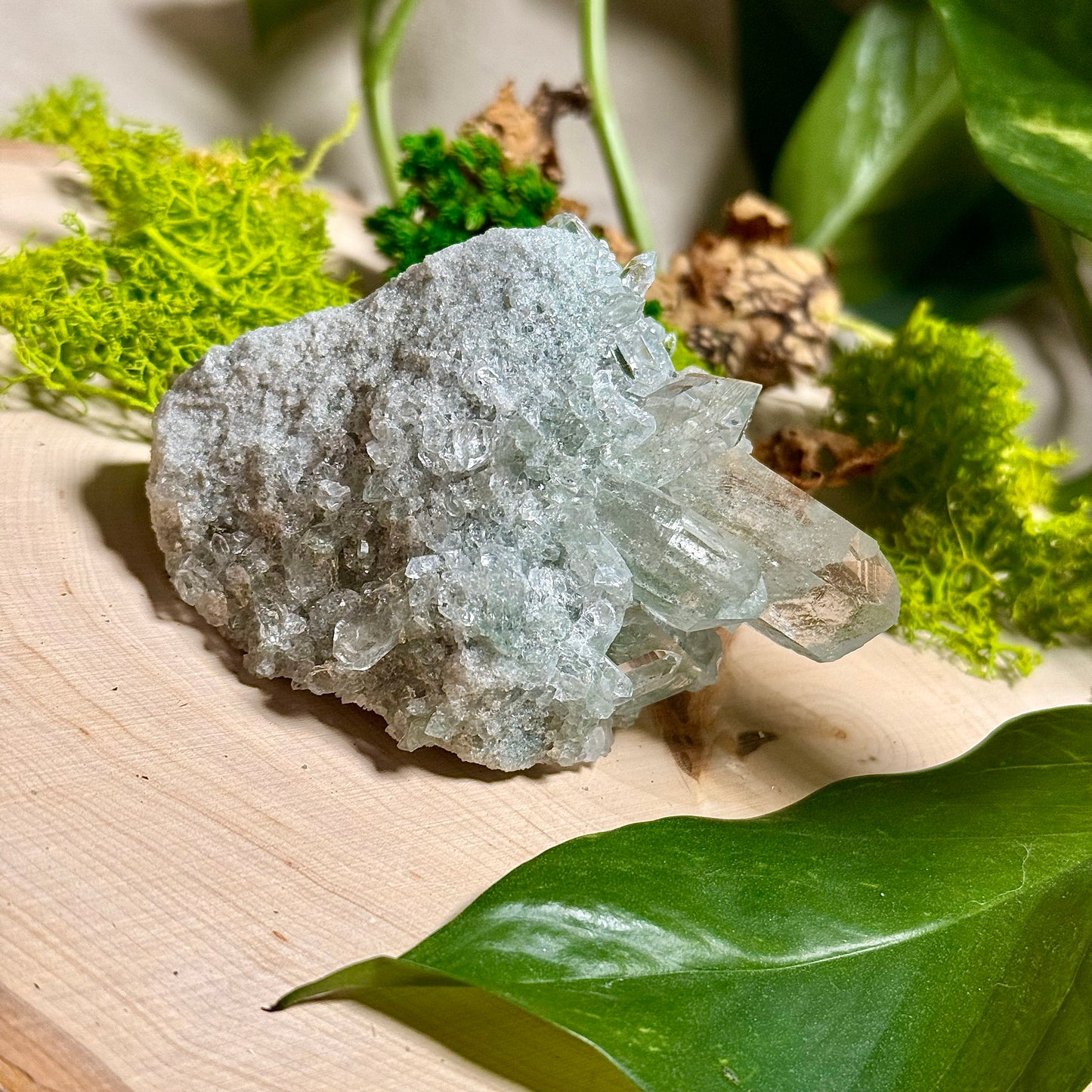 Green Phantom Chlorite Himalayan Quartz Clusters - Manihar Valley