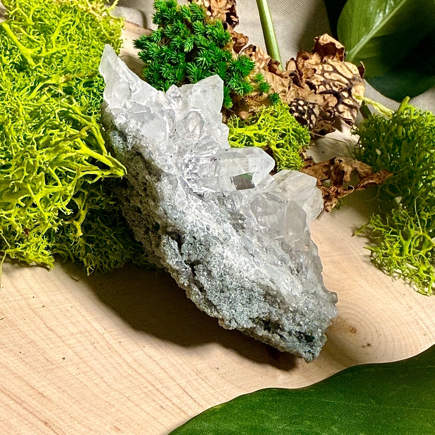 Green Phantom Chlorite Himalayan Quartz Clusters - Manihar Valley