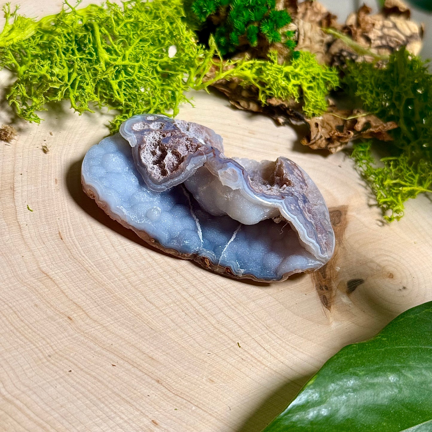 Chalcedony Agate - Verde Valley Specimen