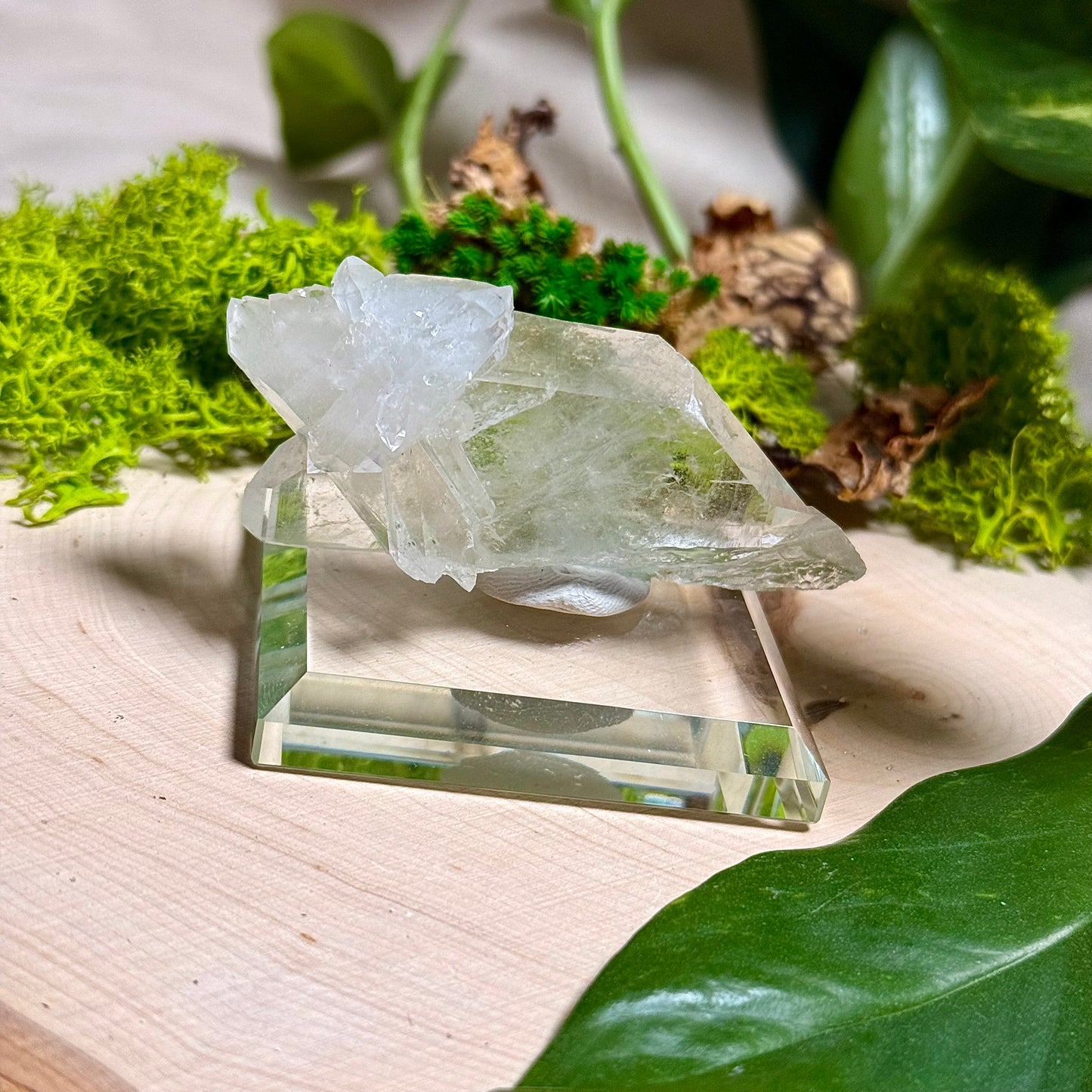 Green Phantom Chlorite Himalayan Quartz Clusters - Pakistan