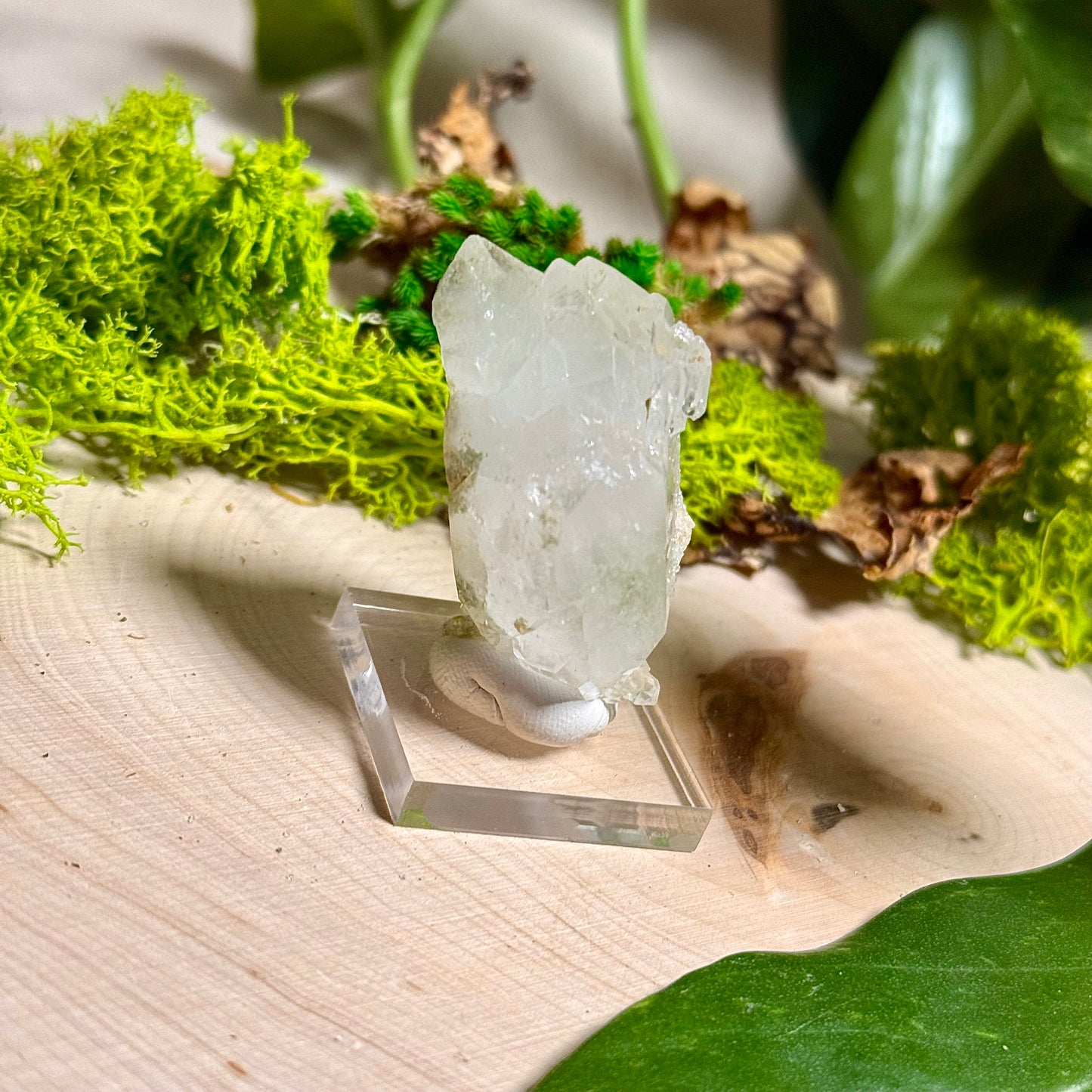 Green Phantom Chlorite Himalayan Quartz Clusters - Pakistan