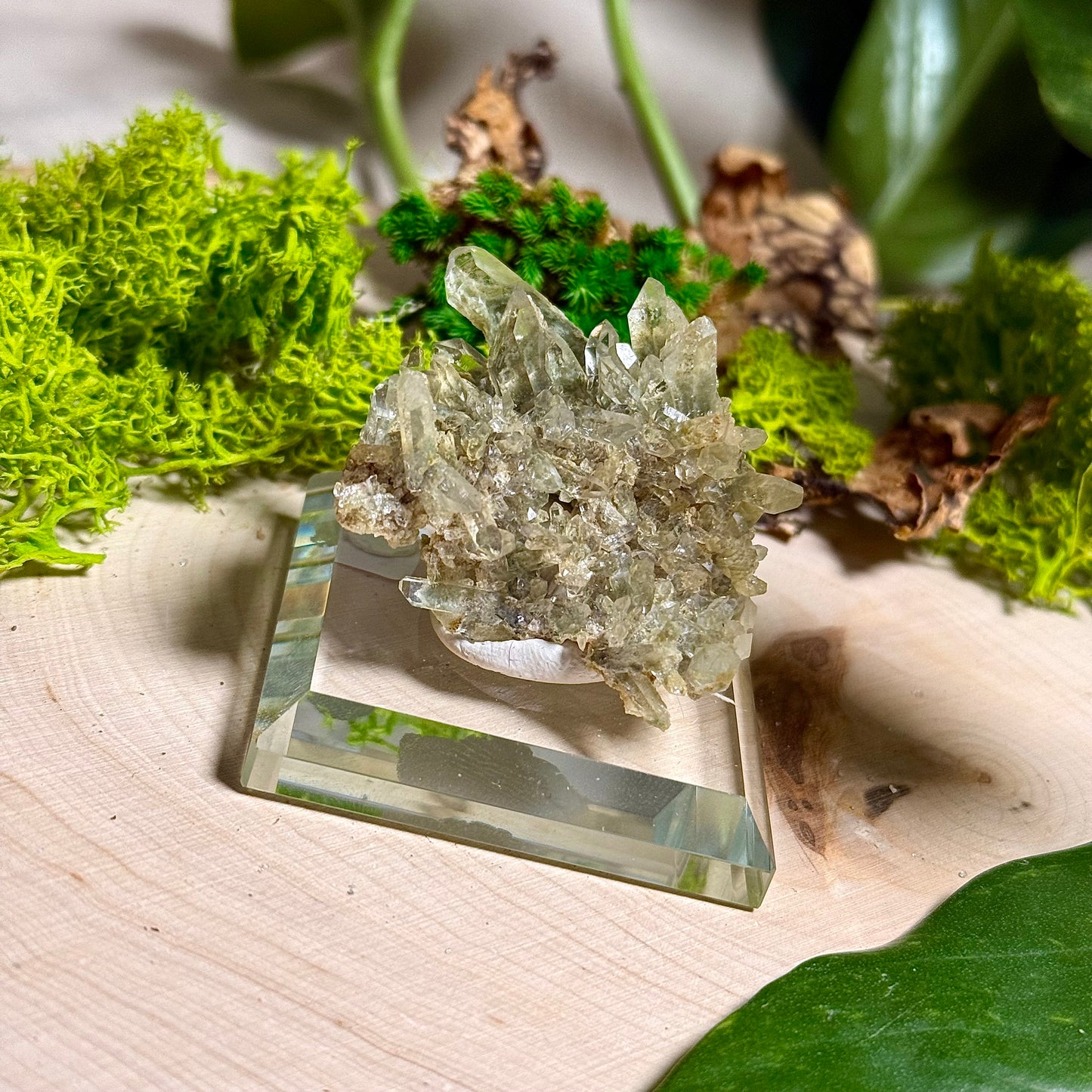 Green Phantom Chlorite Himalayan Quartz Clusters - Pakistan