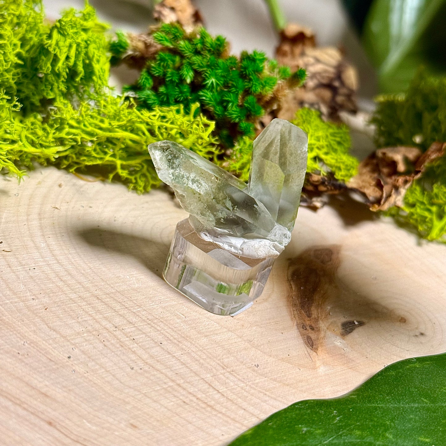 Green Phantom Chlorite Himalayan Quartz Clusters - Pakistan