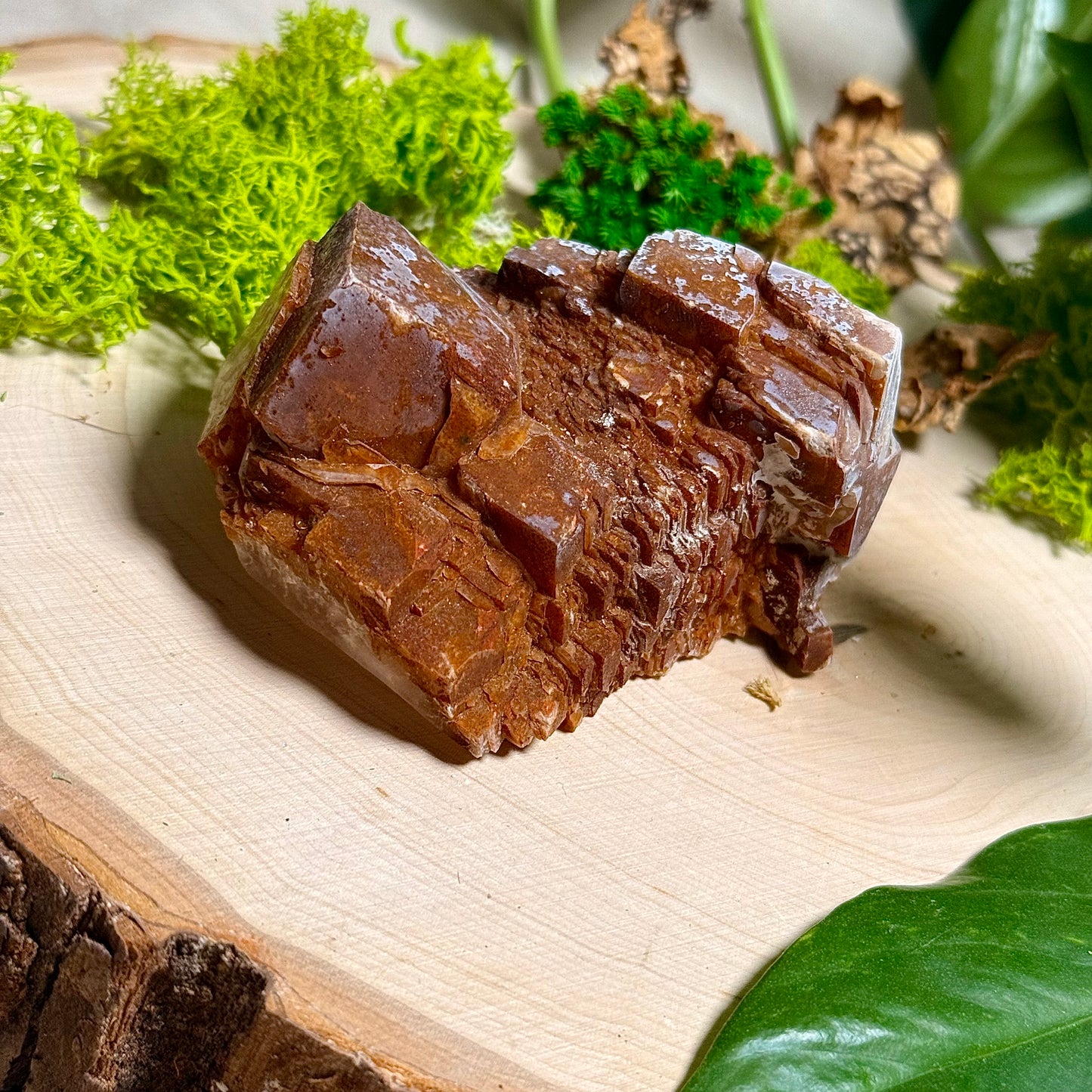 Chocolate Calcite Specimens