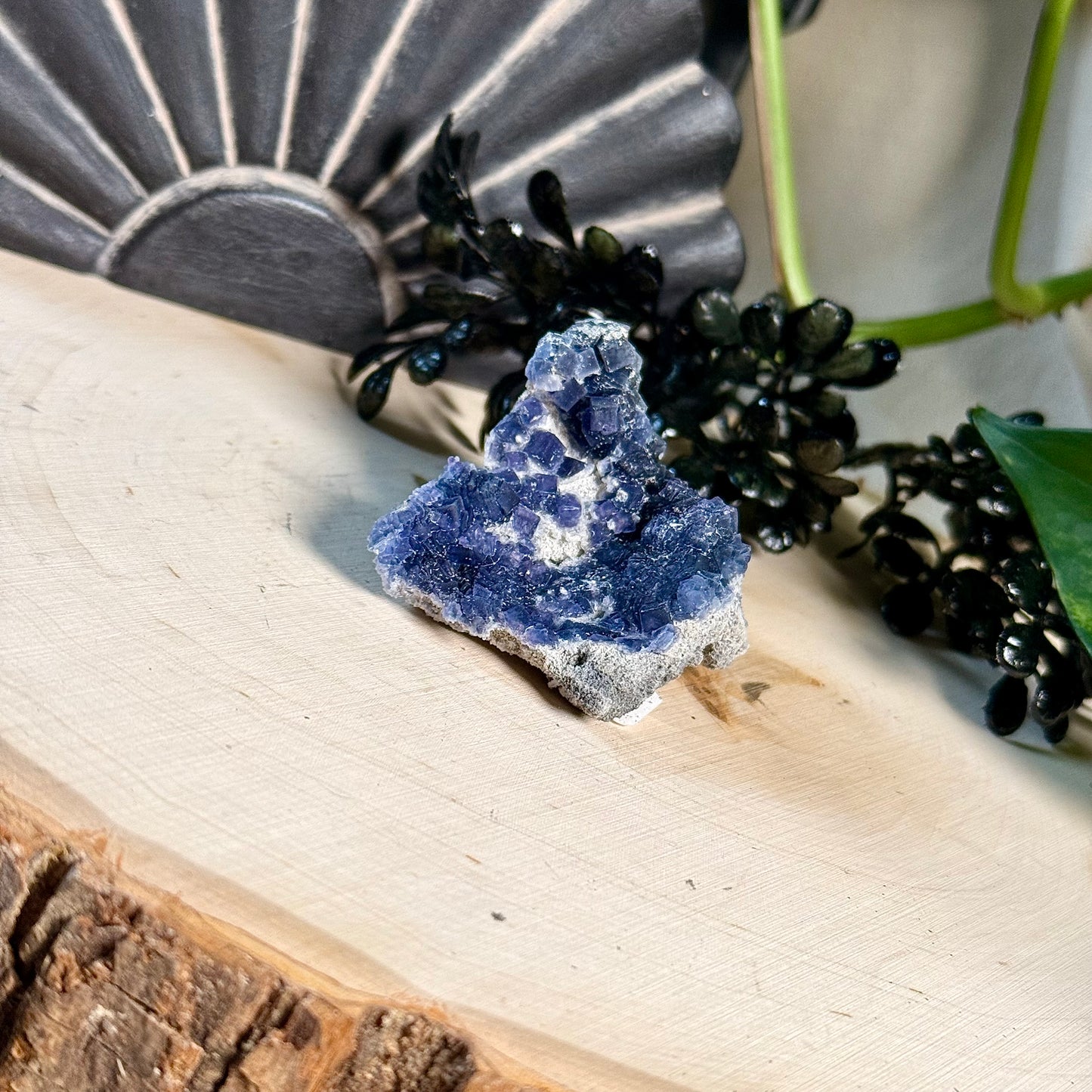 Black Rose Fluorite Specimens
