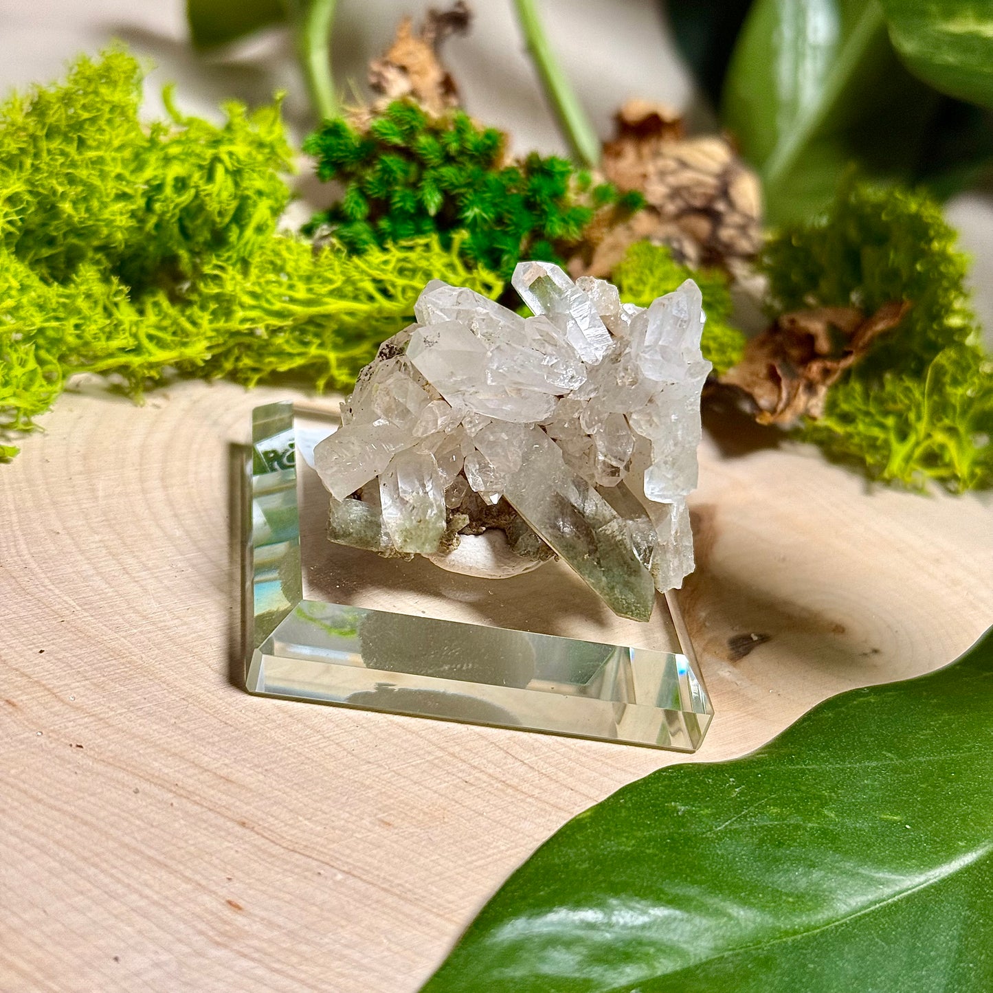 Green Phantom Chlorite Himalayan Quartz Clusters - Pakistan