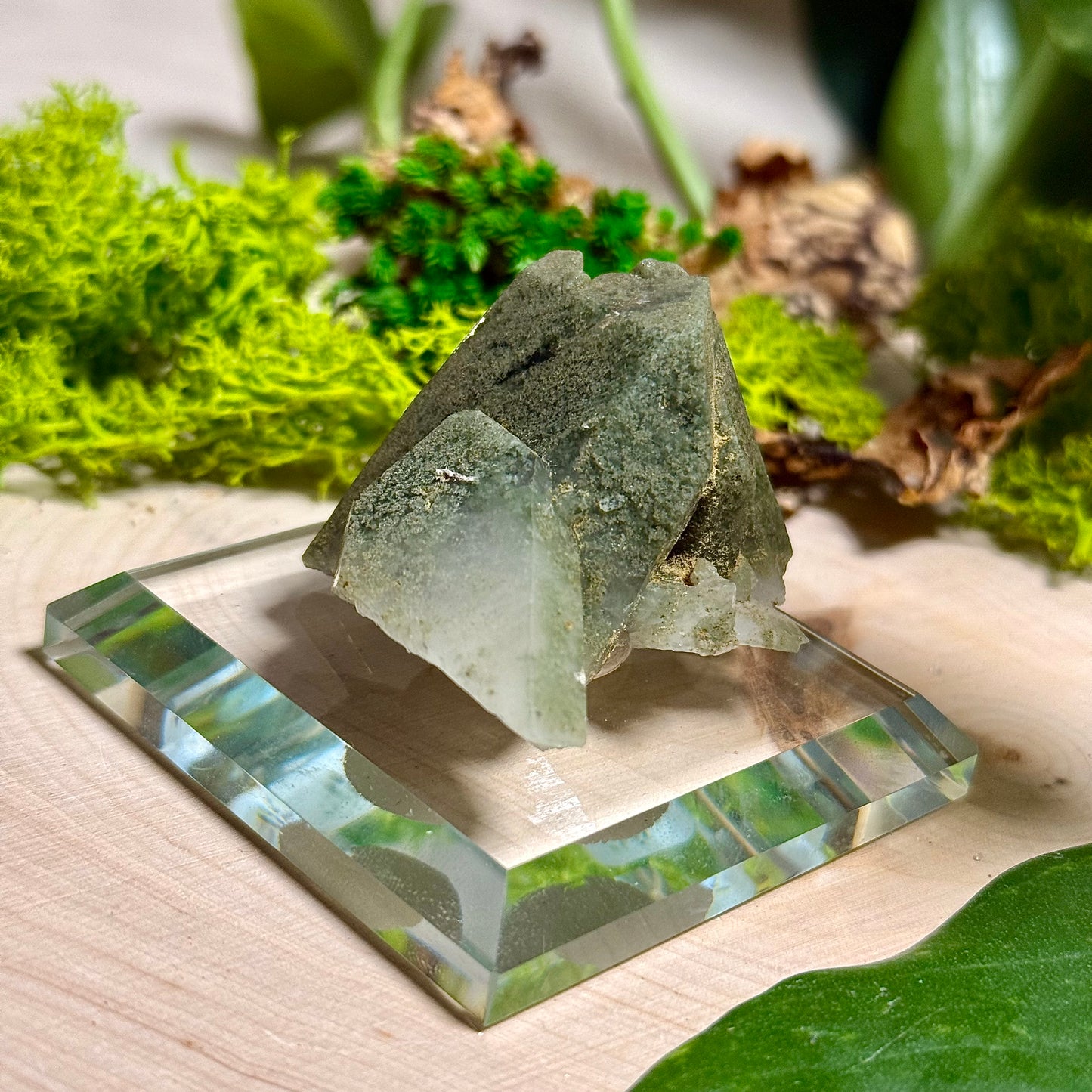 Green Phantom Chlorite Himalayan Quartz Clusters - Pakistan