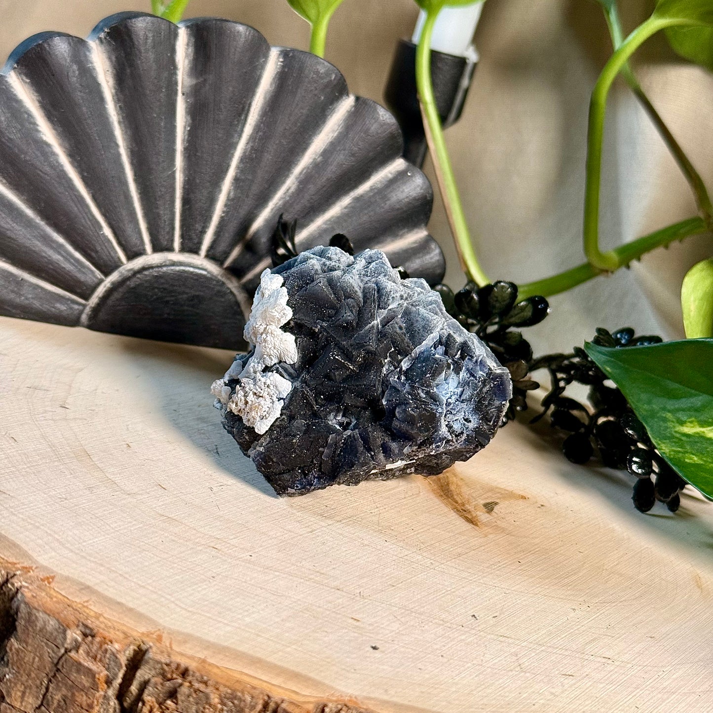 Black Rose Fluorite Specimens