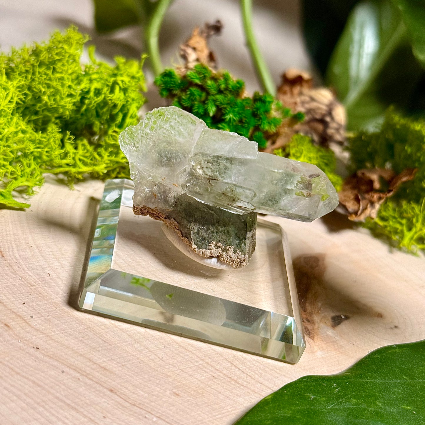 Green Phantom Chlorite Himalayan Quartz Clusters - Pakistan
