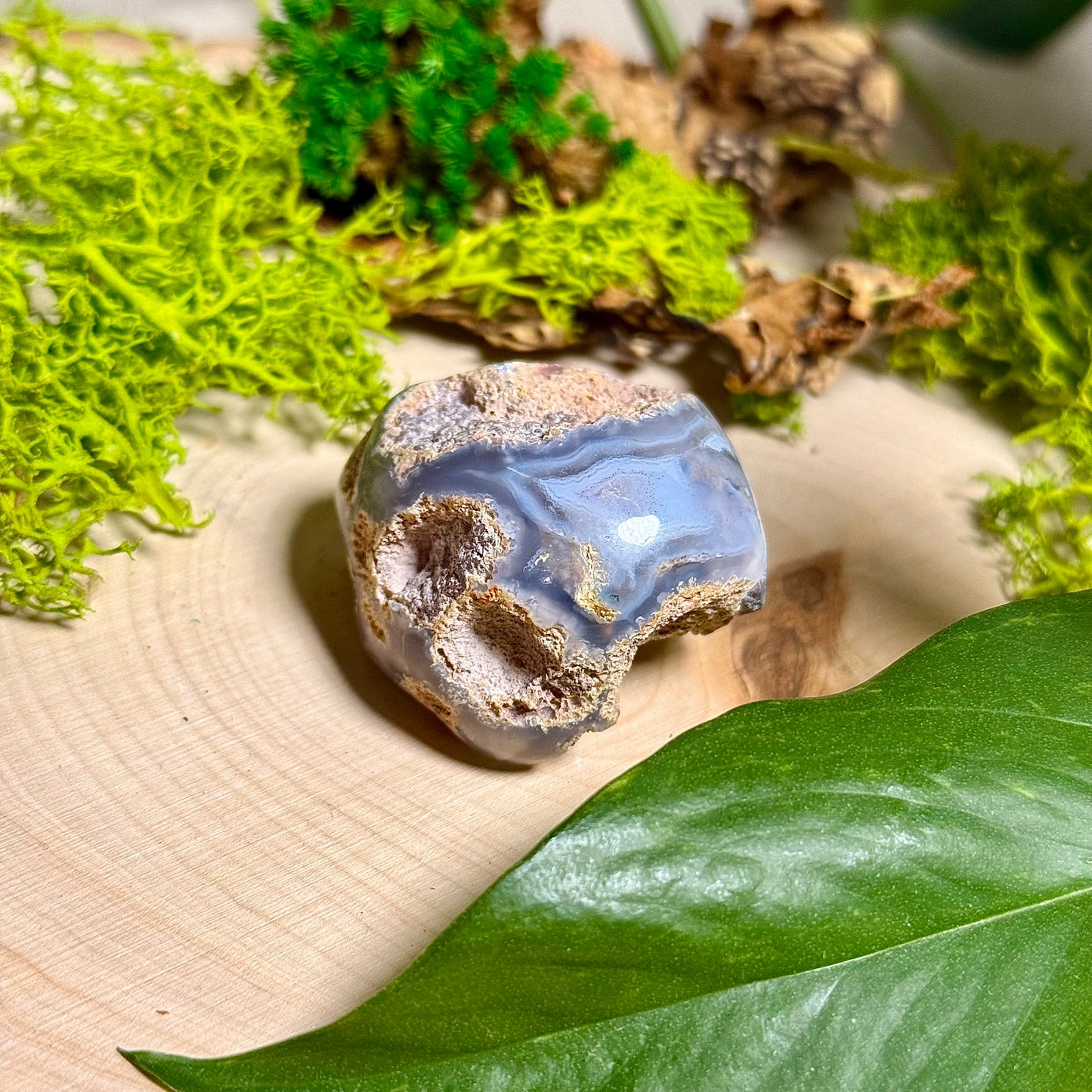 Chalcedony Agate - Verde Valley Specimen
