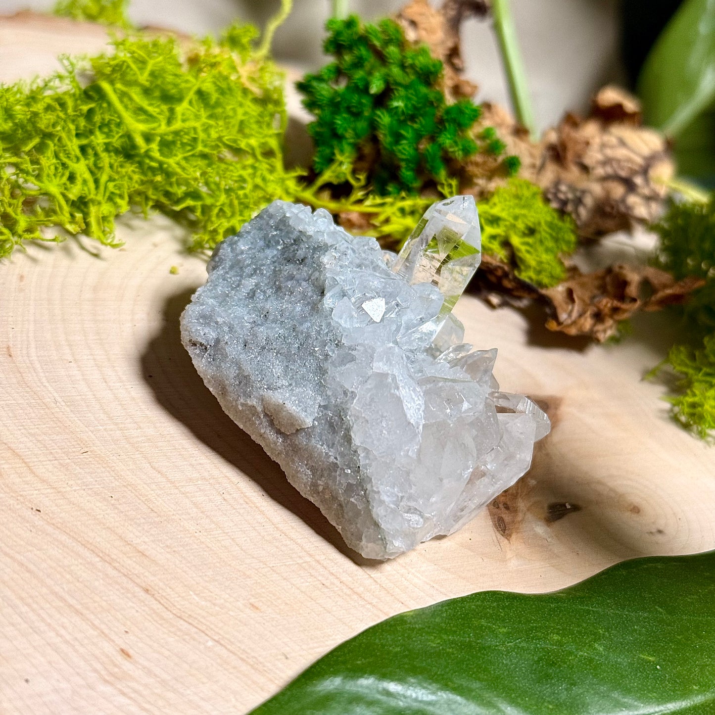 Green Phantom Chlorite Himalayan Quartz Clusters - Manihar Valley