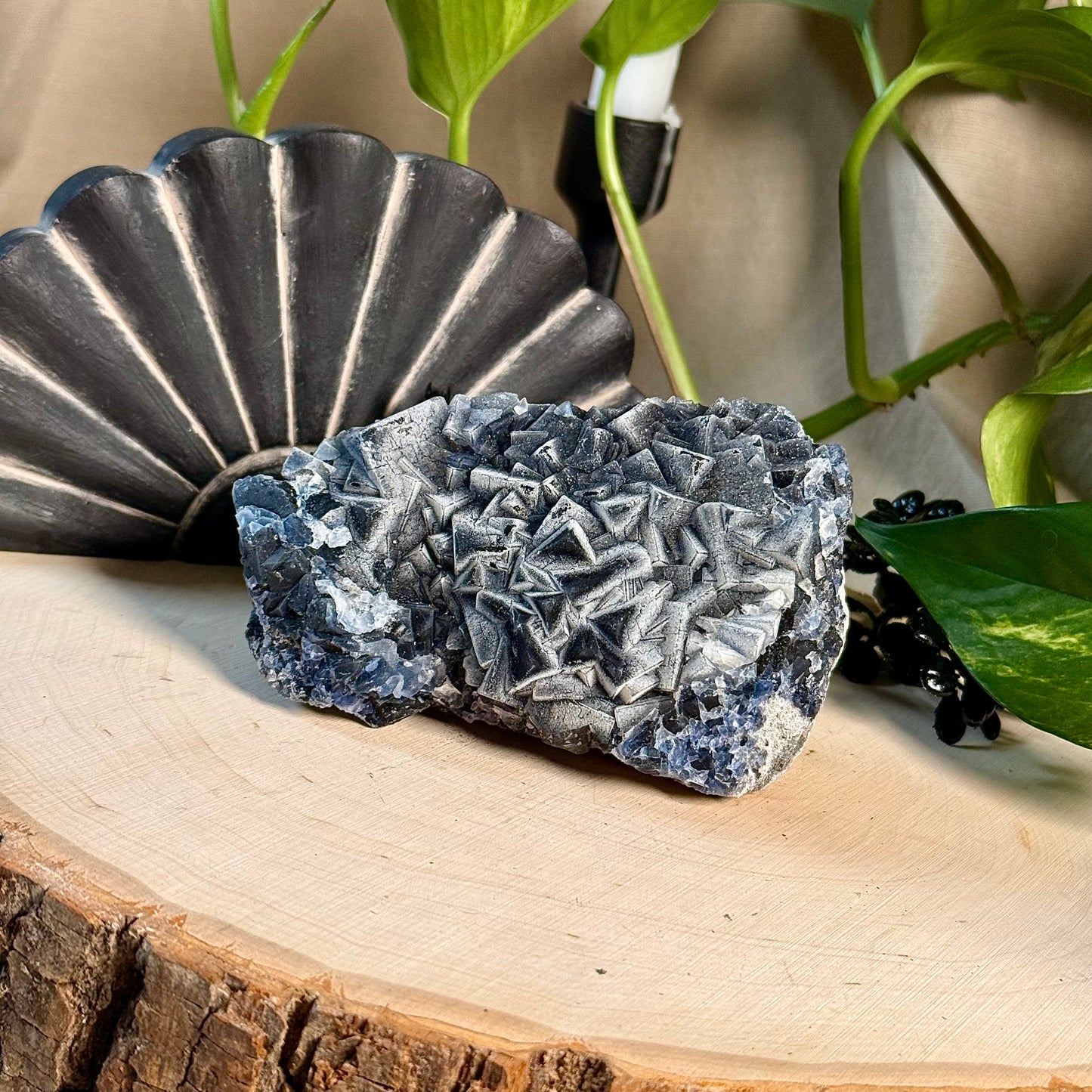 Black Rose Fluorite Specimens