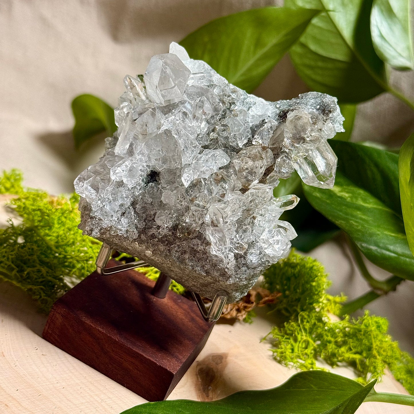 Green Phantom Chlorite Himalayan Quartz Clusters - Manihar Valley