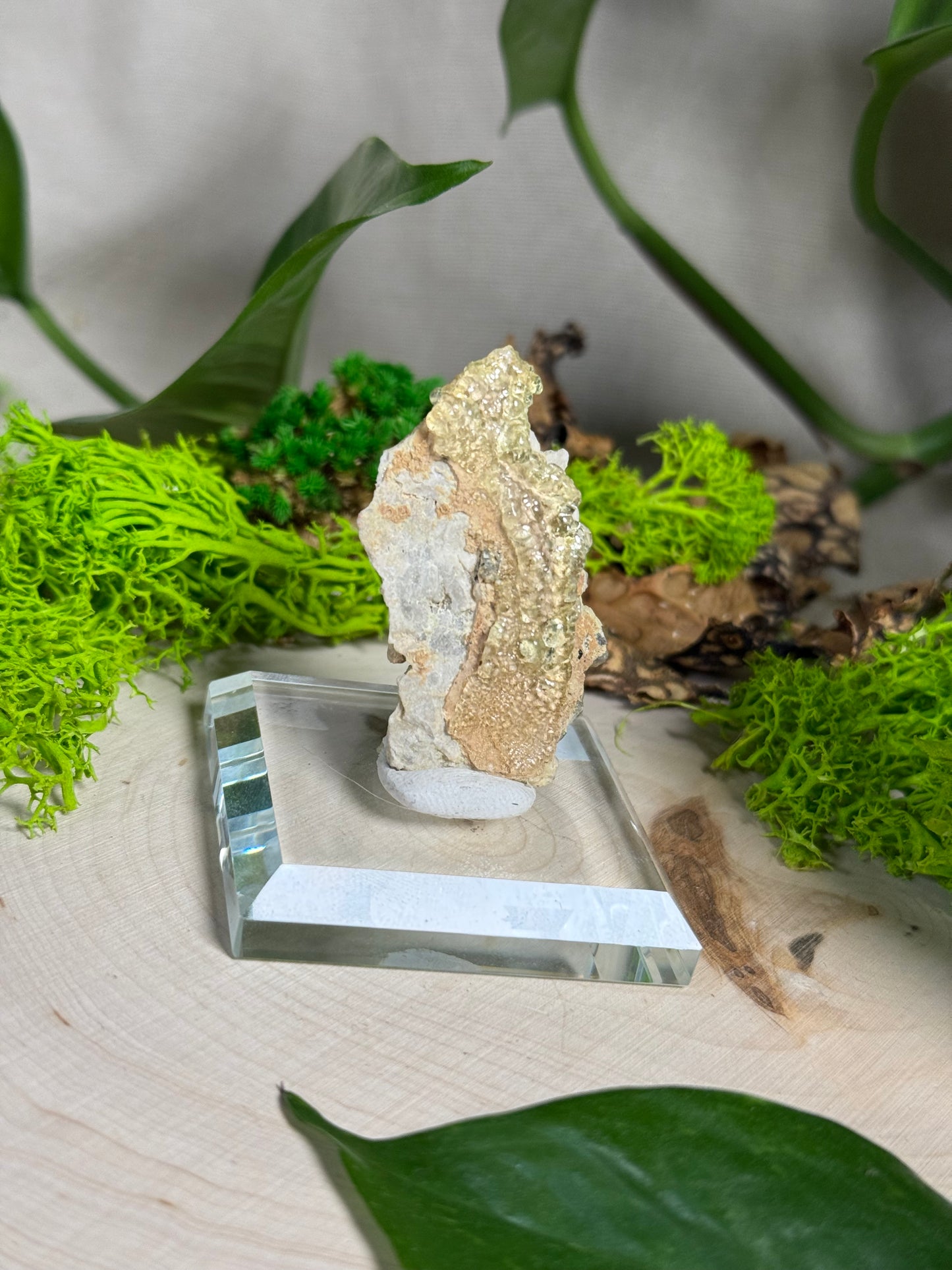 Hyalite Opal on Various Matrix Specimens