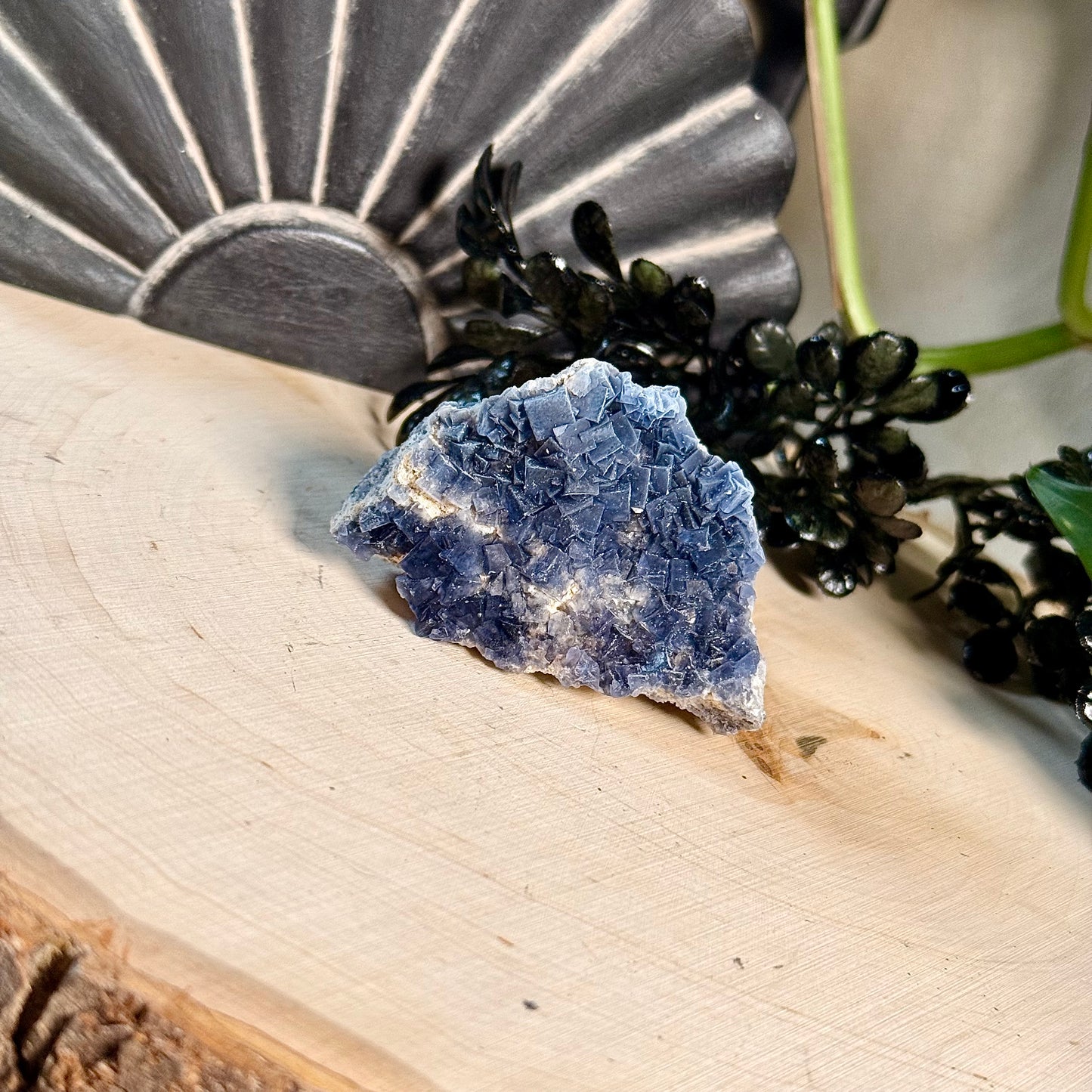 Black Rose Fluorite Specimens