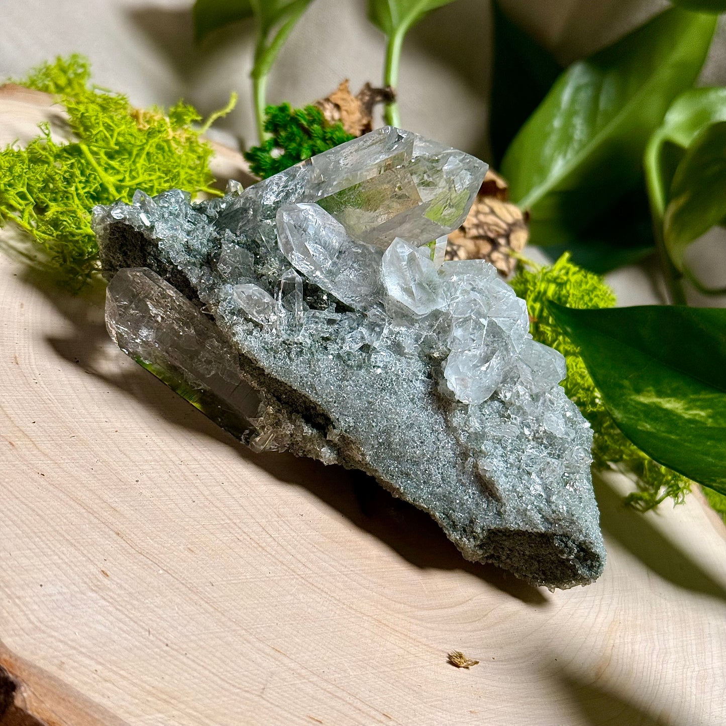Green Phantom Chlorite Himalayan Quartz Clusters - Manihar Valley