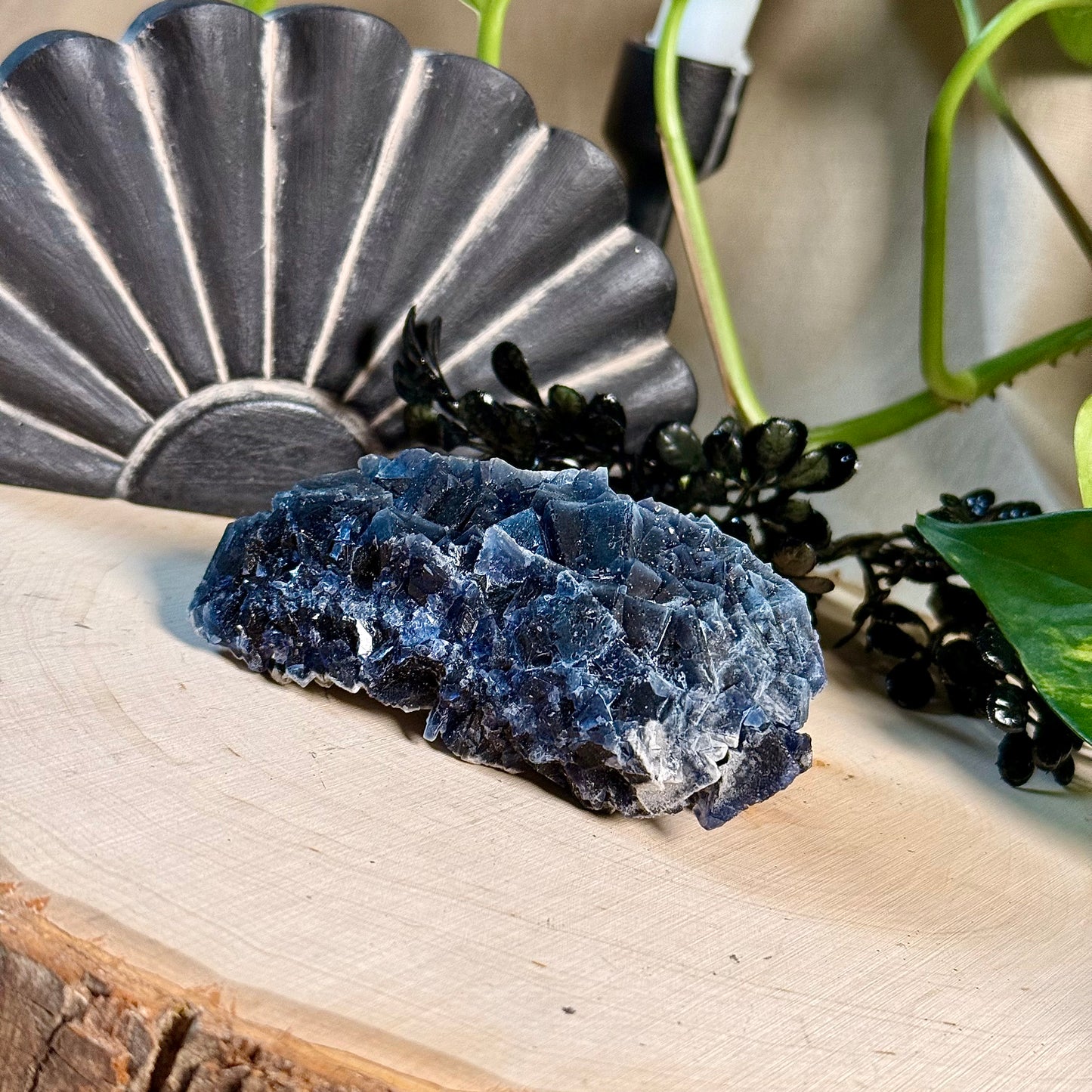 Black Rose Fluorite Specimens