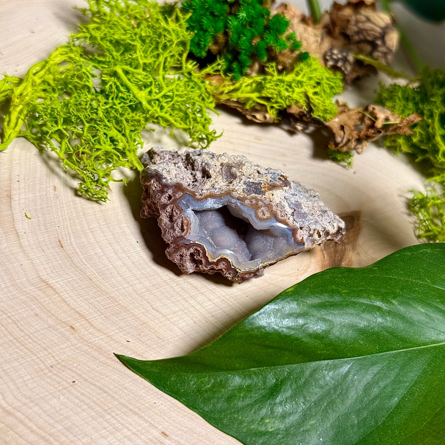 Chalcedony Agate - Verde Valley Specimen