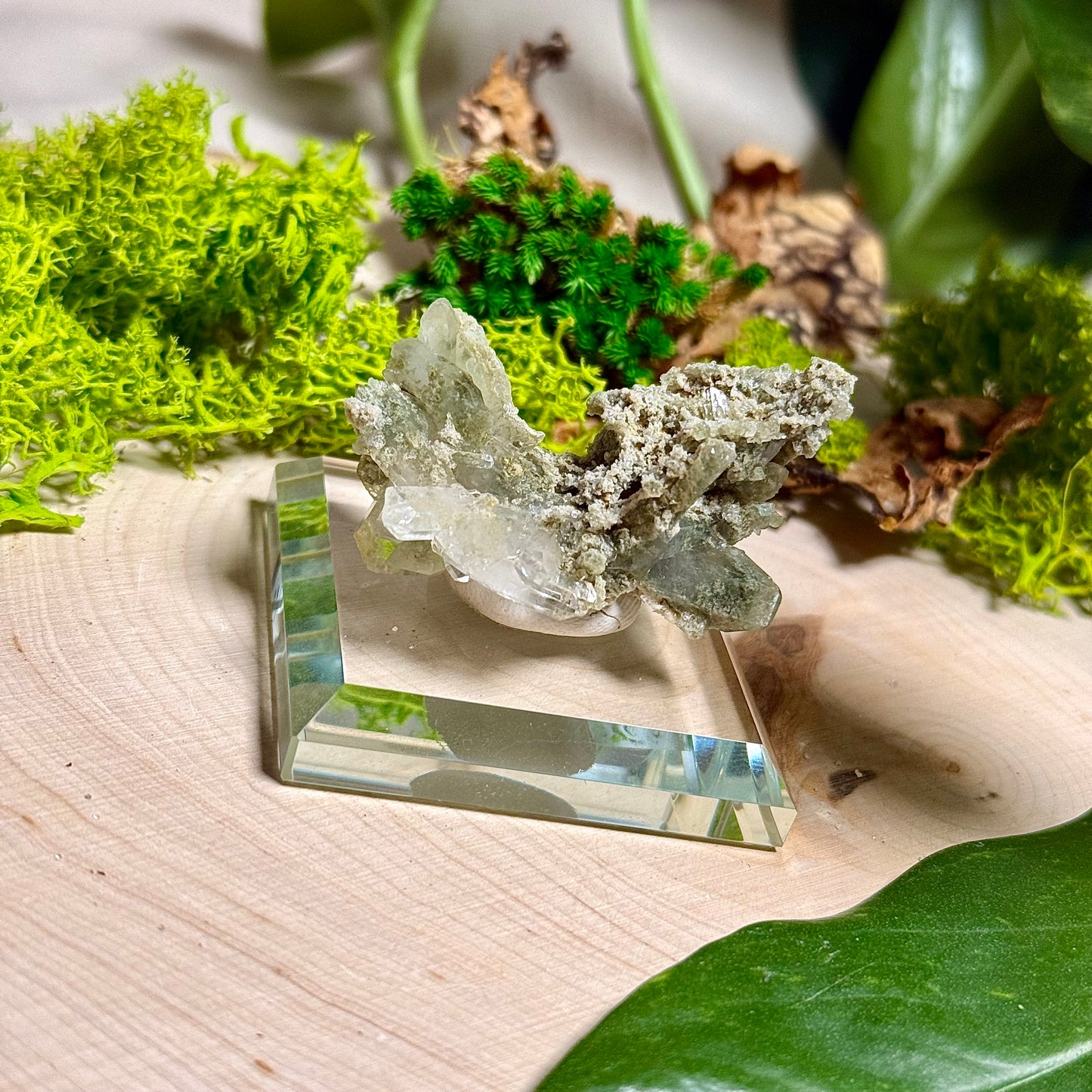 Green Phantom Chlorite Himalayan Quartz Clusters - Pakistan