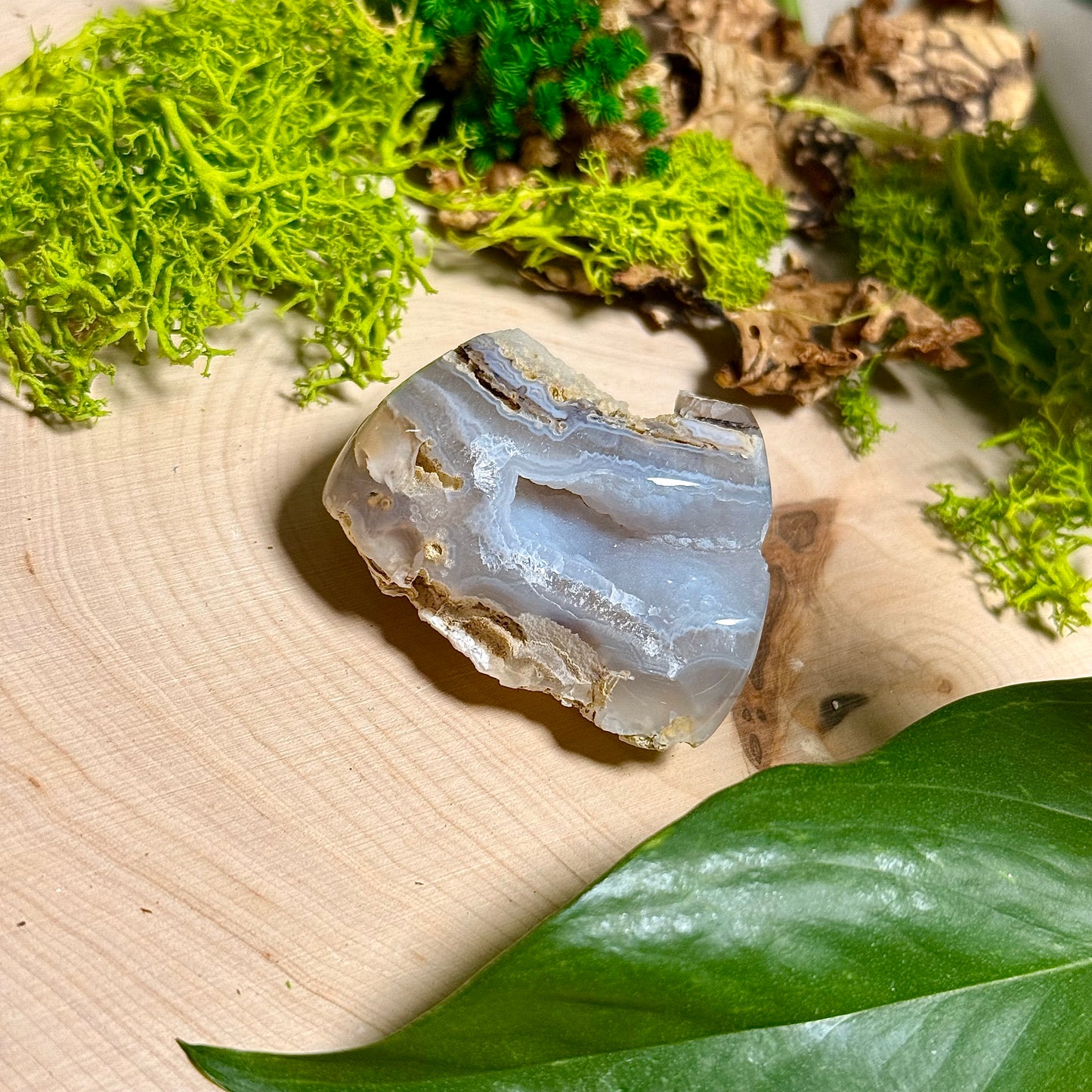 Chalcedony Agate - Verde Valley Specimen