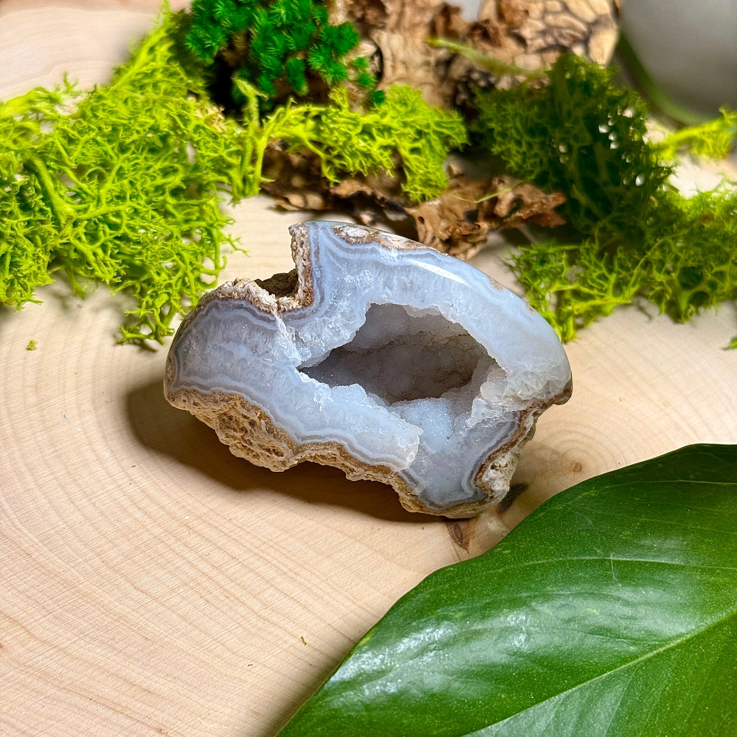 Chalcedony Agate - Verde Valley Specimen
