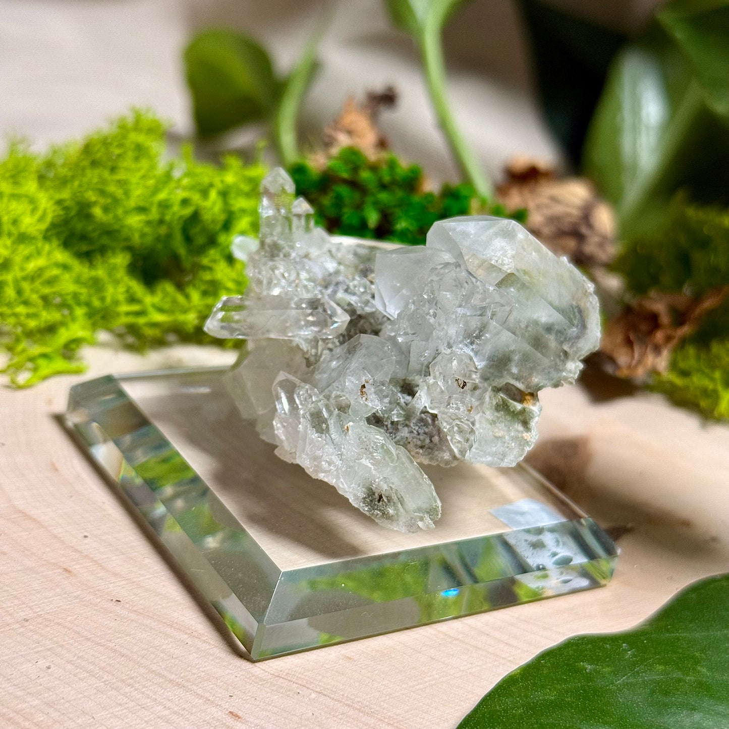 Green Phantom Chlorite Himalayan Quartz Clusters - Pakistan