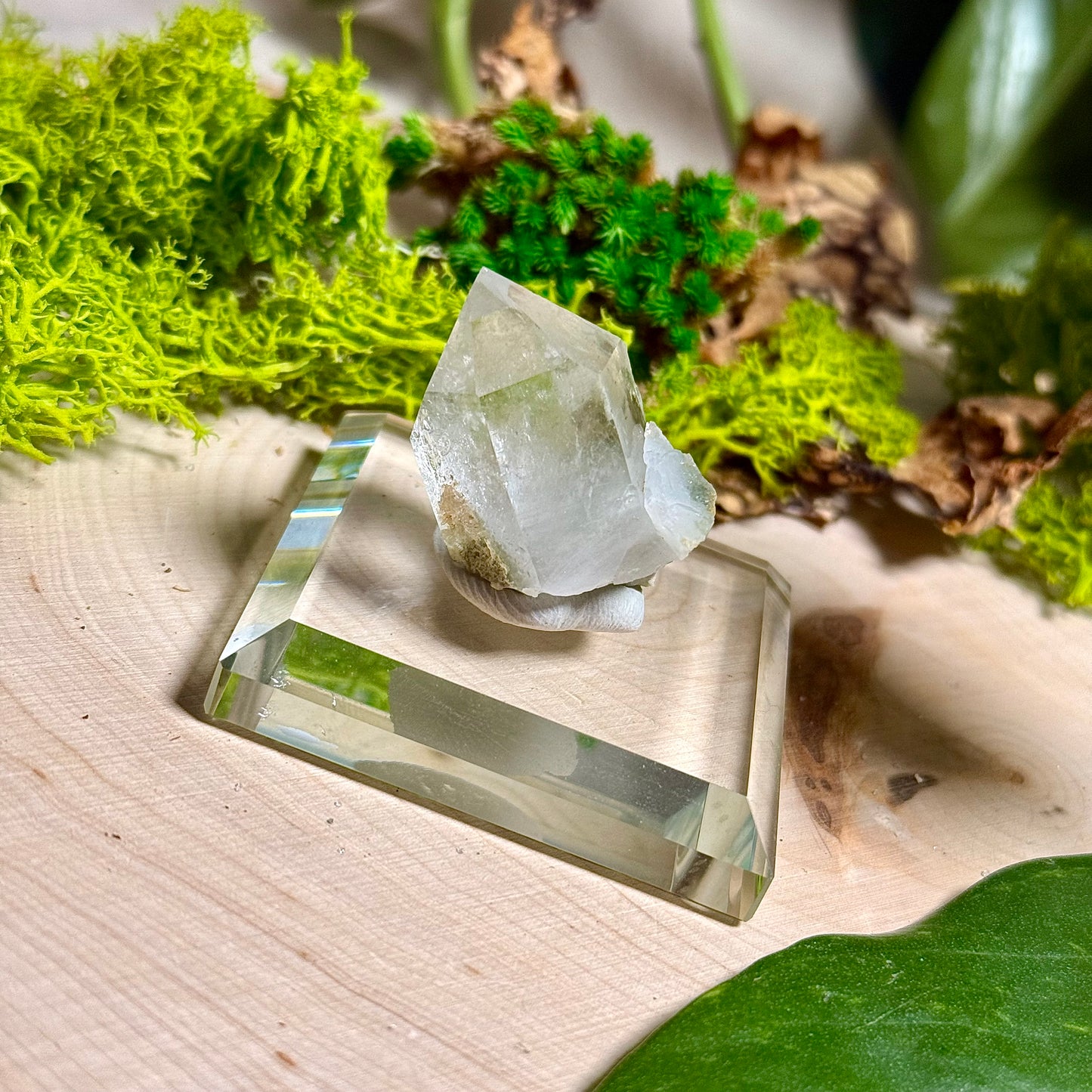 Green Phantom Chlorite Himalayan Quartz Clusters - Pakistan