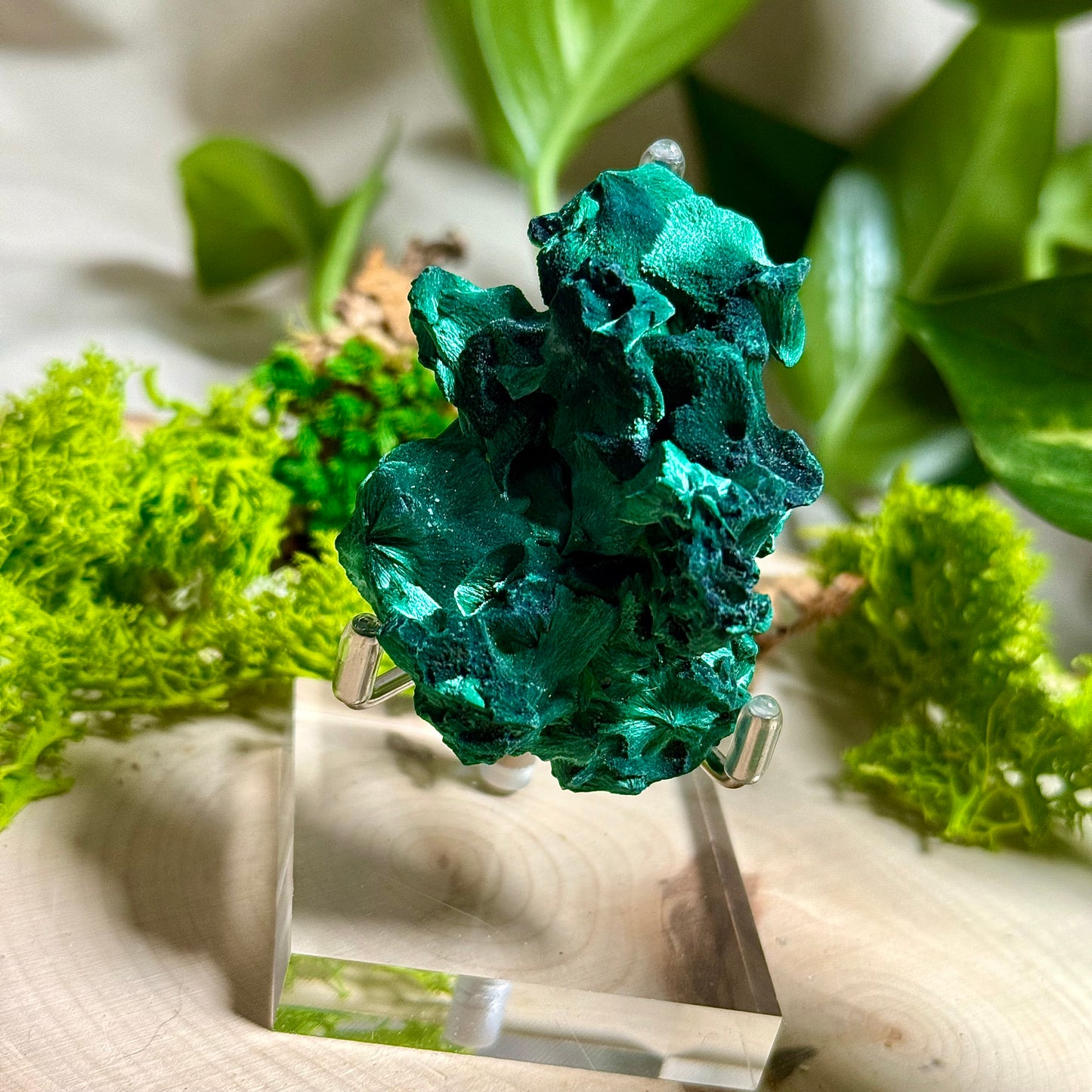 Malachite Specimens