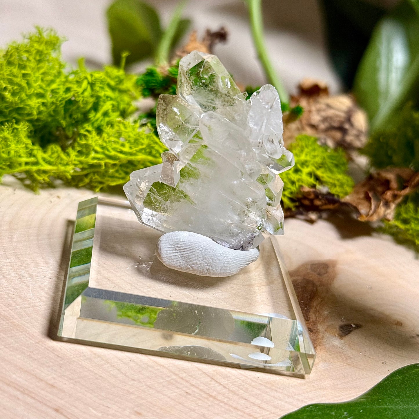 Green Phantom Chlorite Himalayan Quartz Clusters - Pakistan