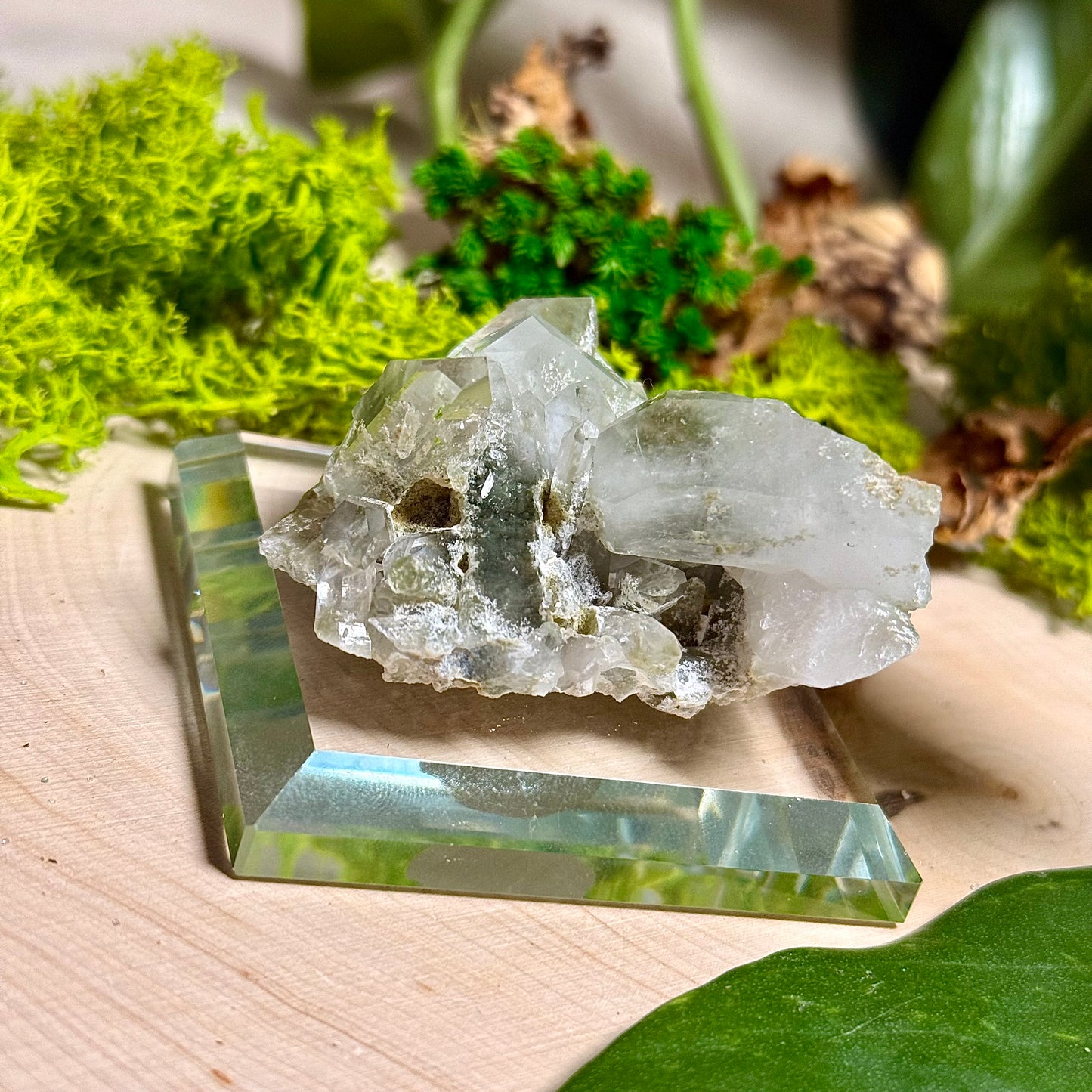 Green Phantom Chlorite Himalayan Quartz Clusters - Pakistan
